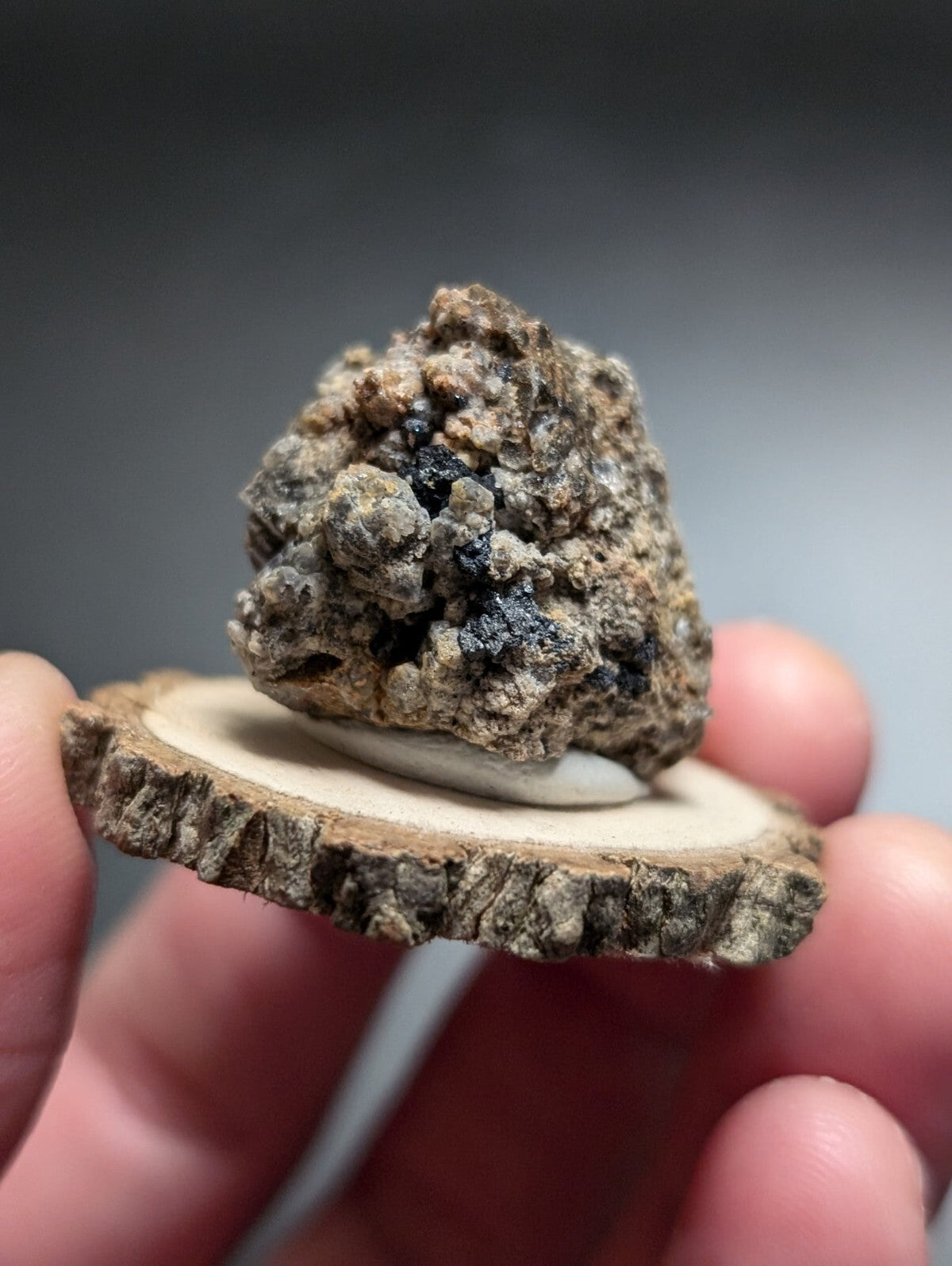 A rough, textured mineral specimen with a mottled gray and dark blue surface rests on a circular wooden slice.