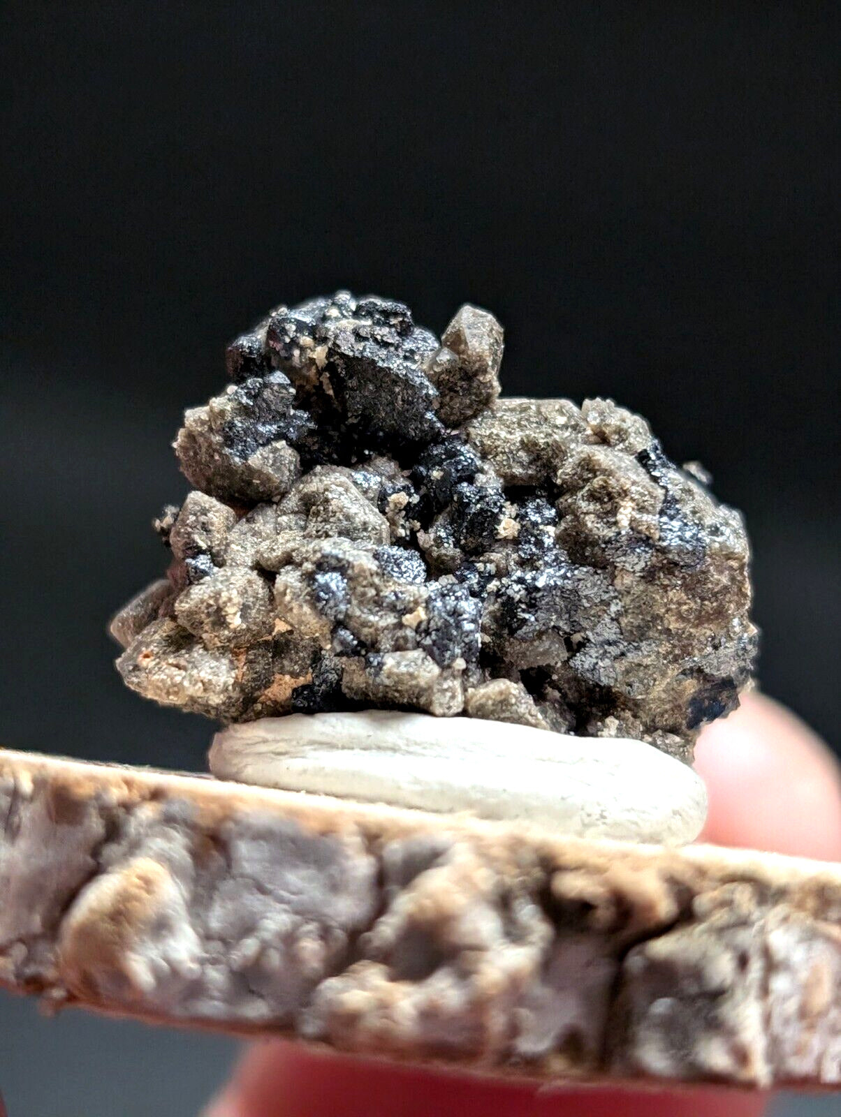 Brookite on Smoky Quartz Magnet Cove Arkansas USA Old Stock w/ wood display - Collectibles:Rocks Fossils &