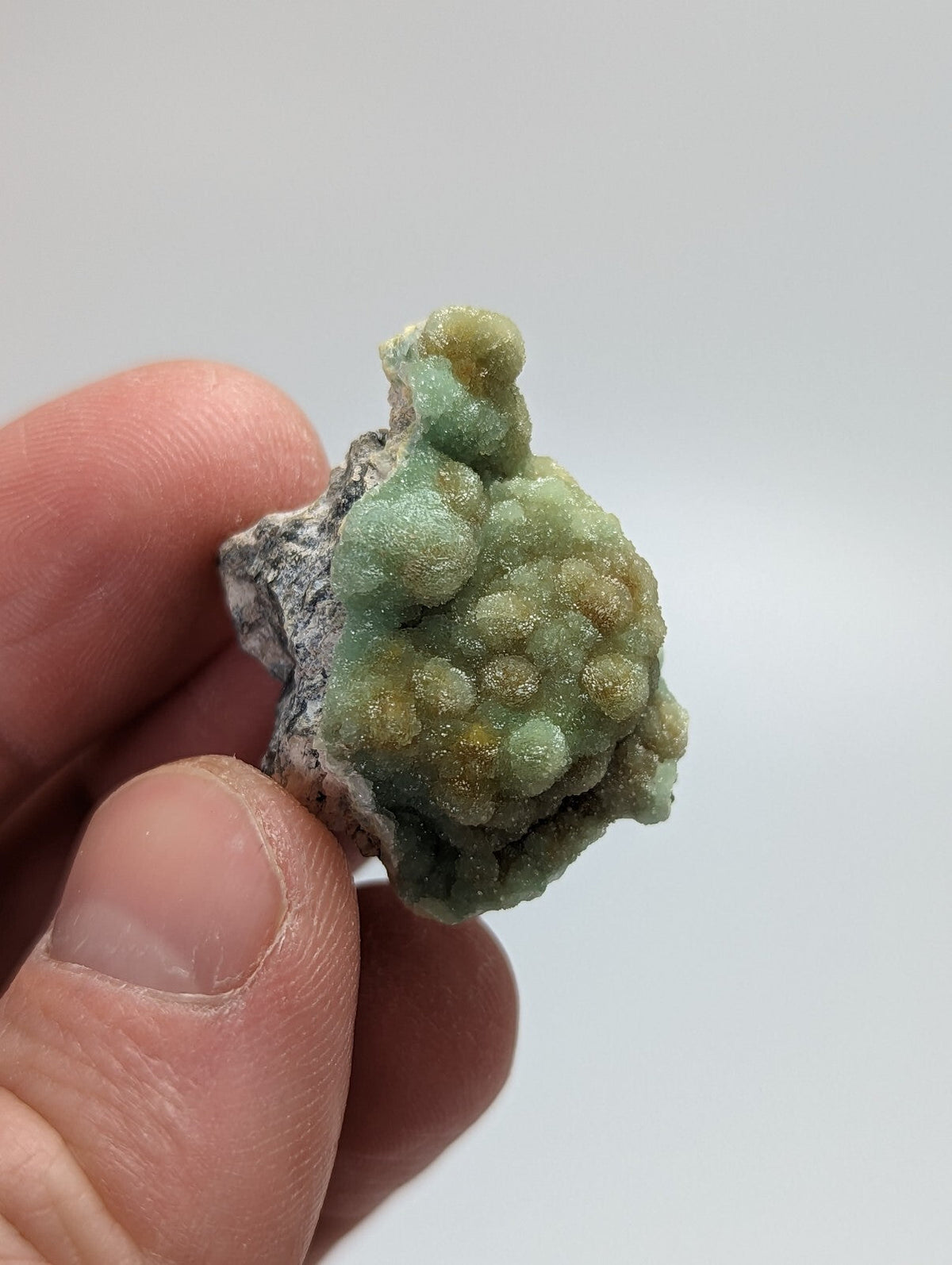 A hand holds a small, irregularly shaped mineral specimen featuring clusters of light green and yellowish spherical crystals growing from a rough gray matrix.