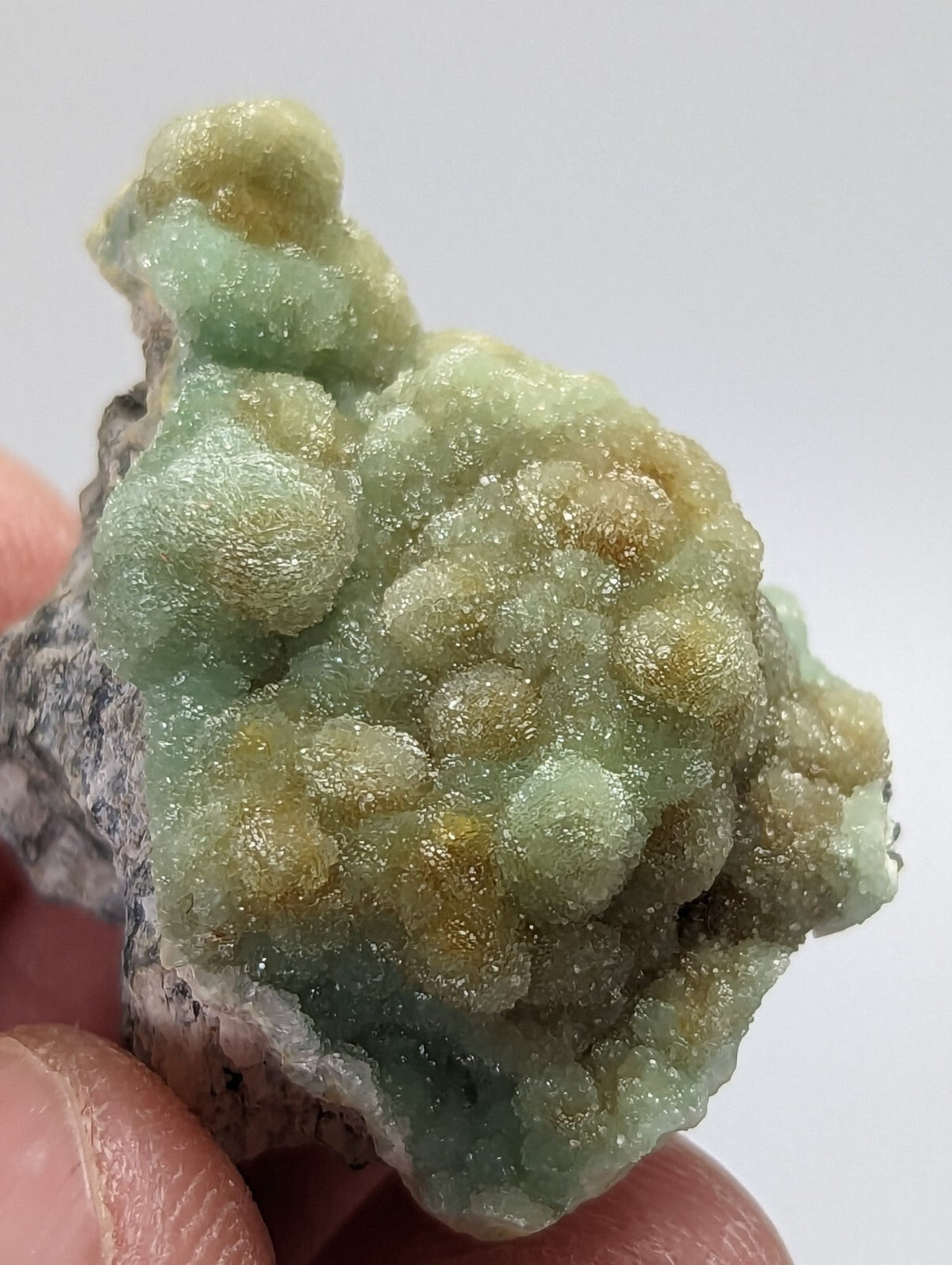 A hand holds a natural mineral specimen featuring clusters of translucent green and yellowish crystals growing from a rough, gray matrix.