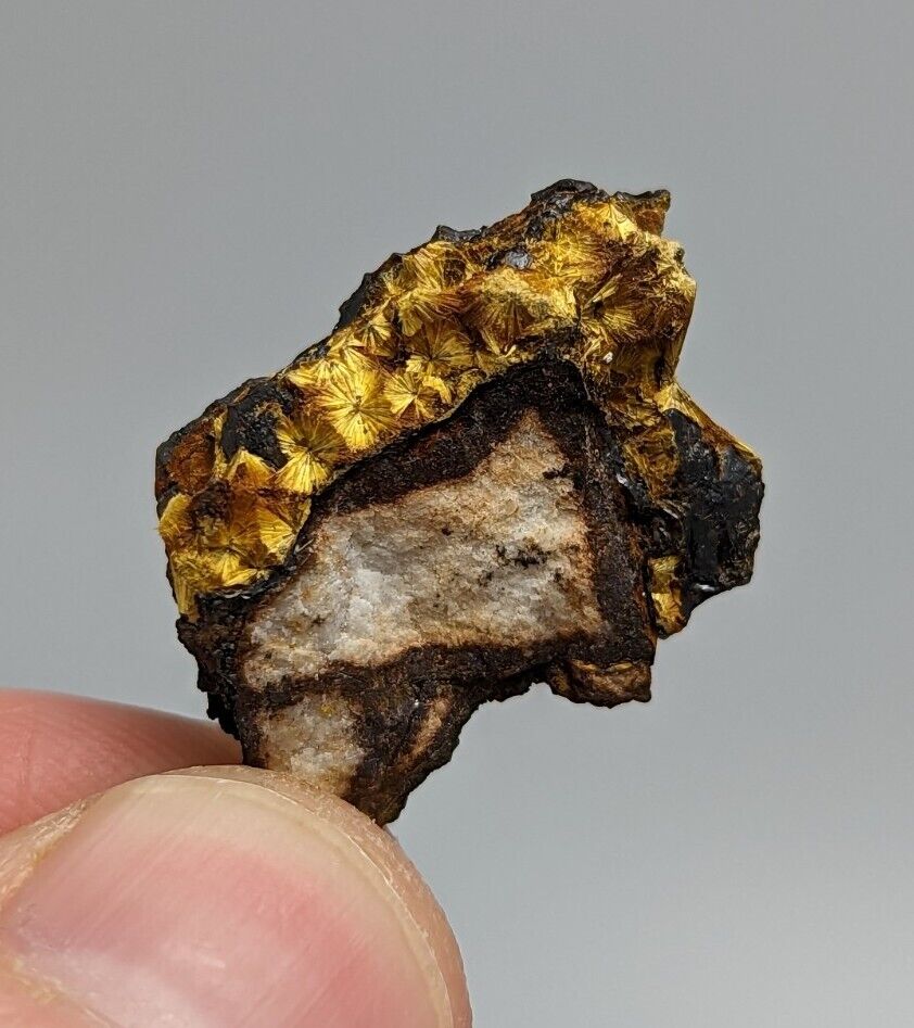 Cacoxenite on Novaculite Matrix Rare old stock 1970s Polk County Arkansas - Collectibles:Rocks Fossils &