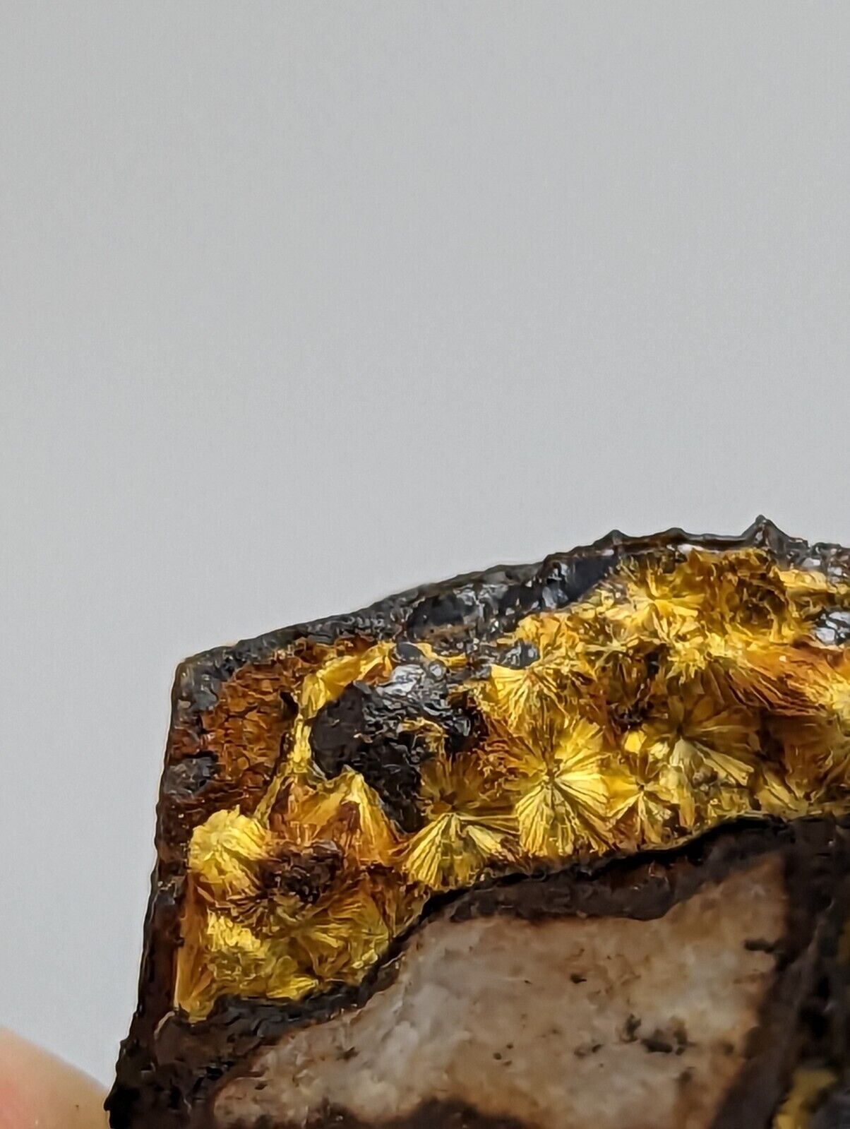 Cacoxenite on Novaculite Matrix Rare old stock 1970s Polk County Arkansas - Collectibles:Rocks Fossils &