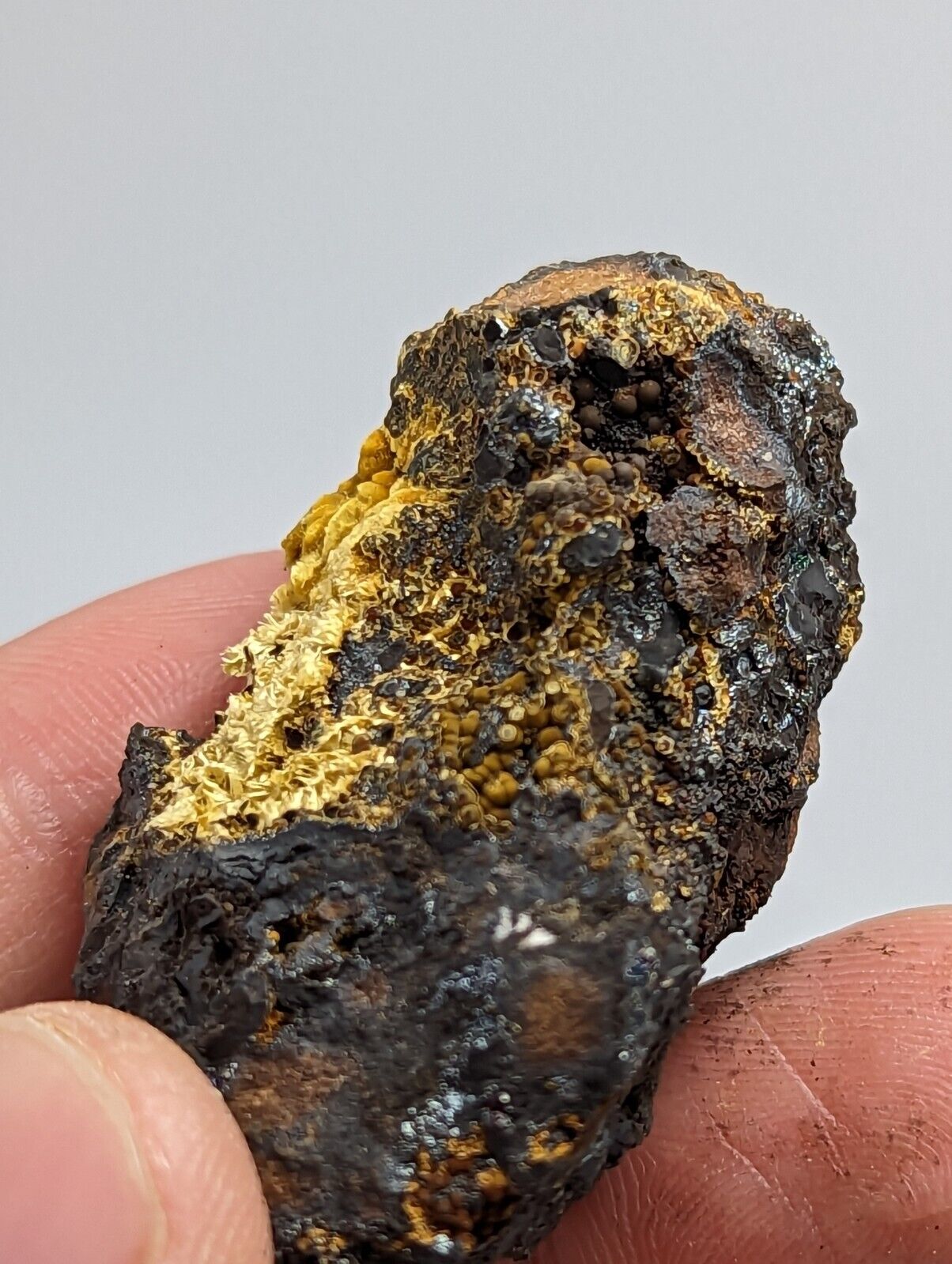 Cacoxenite on Novaculite Matrix Rare old stock 1970s Polk County Arkansas - Collectibles:Rocks Fossils &