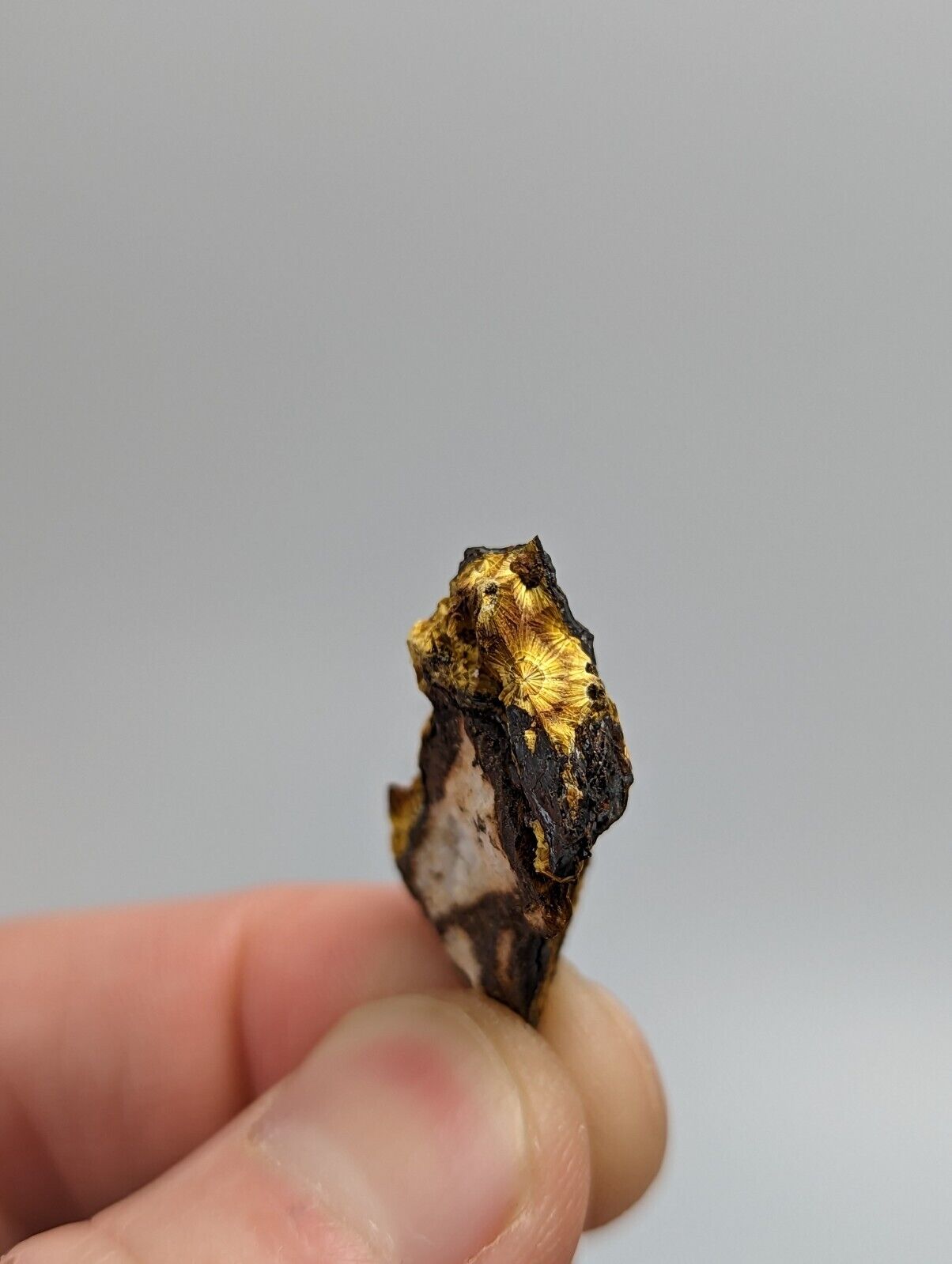 Cacoxenite on Novaculite Matrix Rare old stock 1970s Polk County Arkansas - Collectibles:Rocks Fossils &
