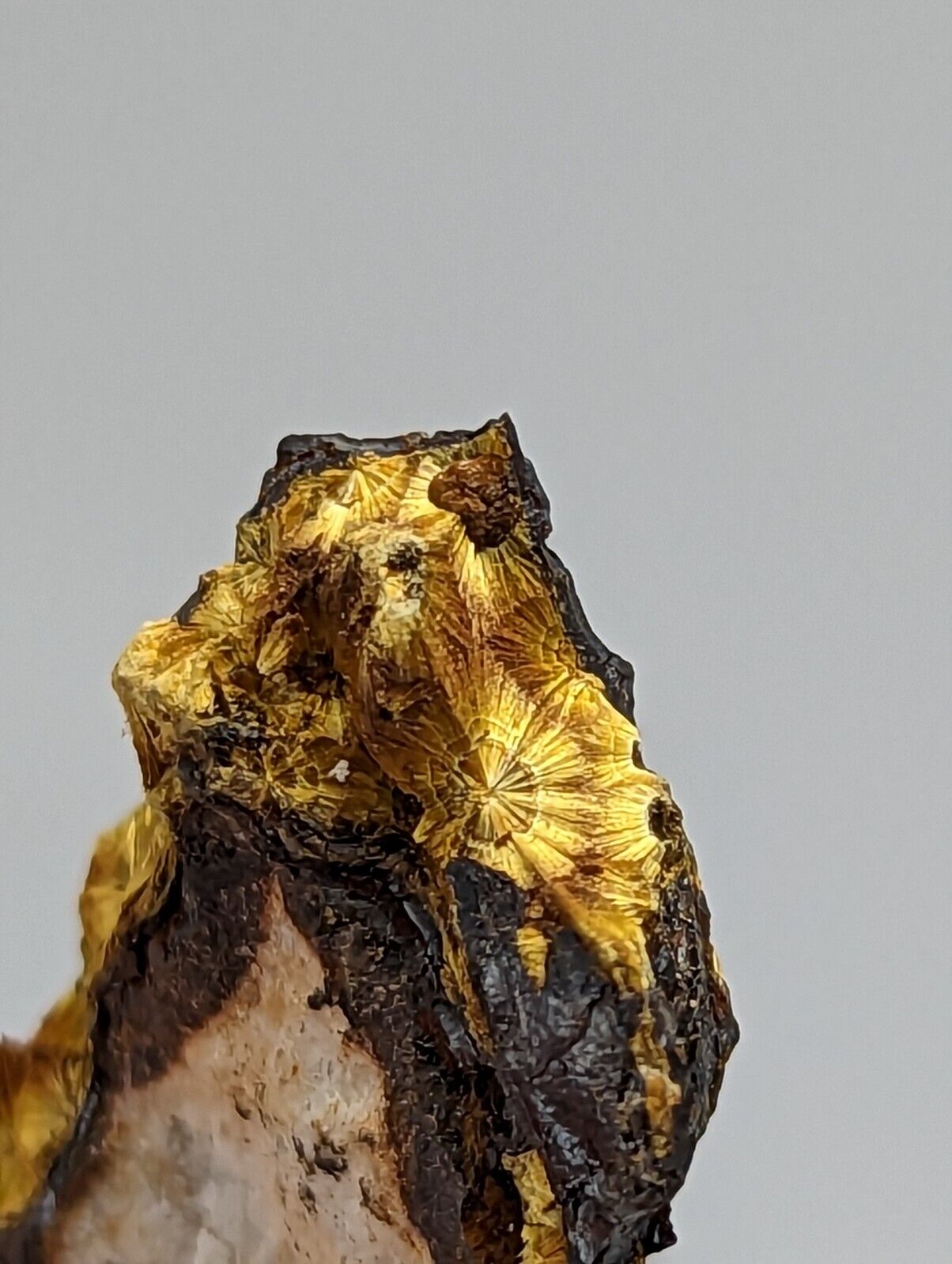 Cacoxenite on Novaculite Matrix Rare old stock 1970s Polk County Arkansas - Collectibles:Rocks Fossils &