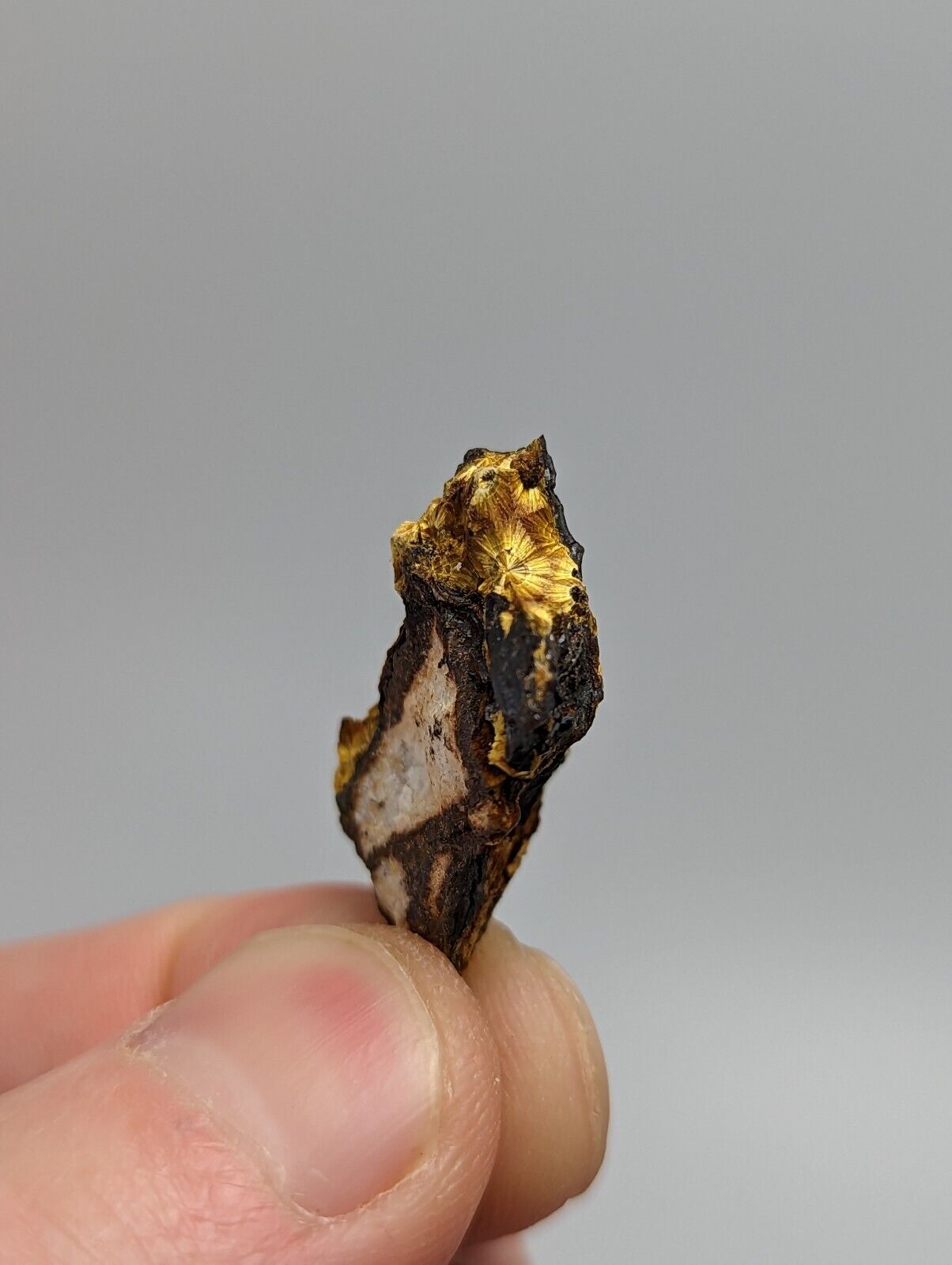 Cacoxenite on Novaculite Matrix Rare old stock 1970s Polk County Arkansas - Collectibles:Rocks Fossils &