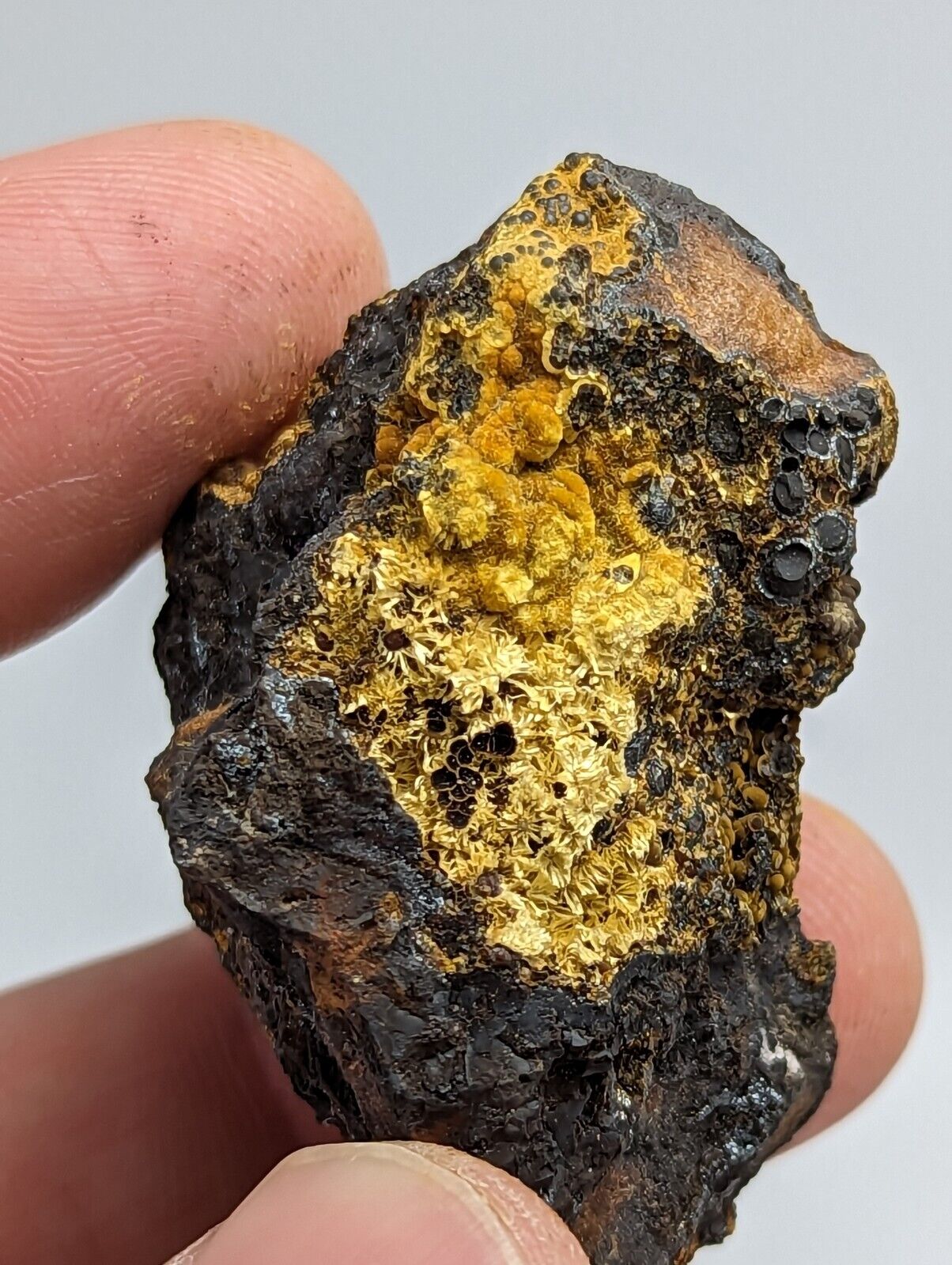 Cacoxenite on Novaculite Matrix Rare old stock 1970s Polk County Arkansas - Collectibles:Rocks Fossils &
