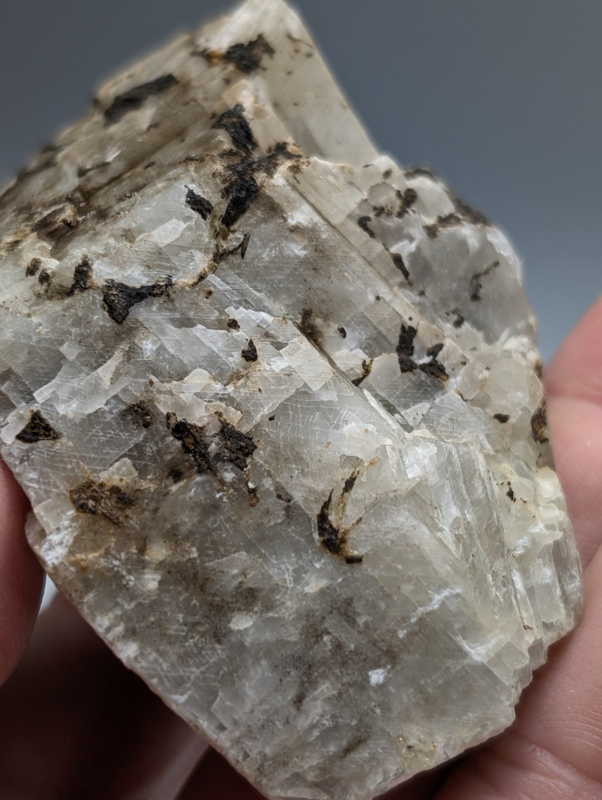 A translucent calcio carbonatite mineral with dark inclusions and a rough faceted surface from Magnet Cove Arkansas