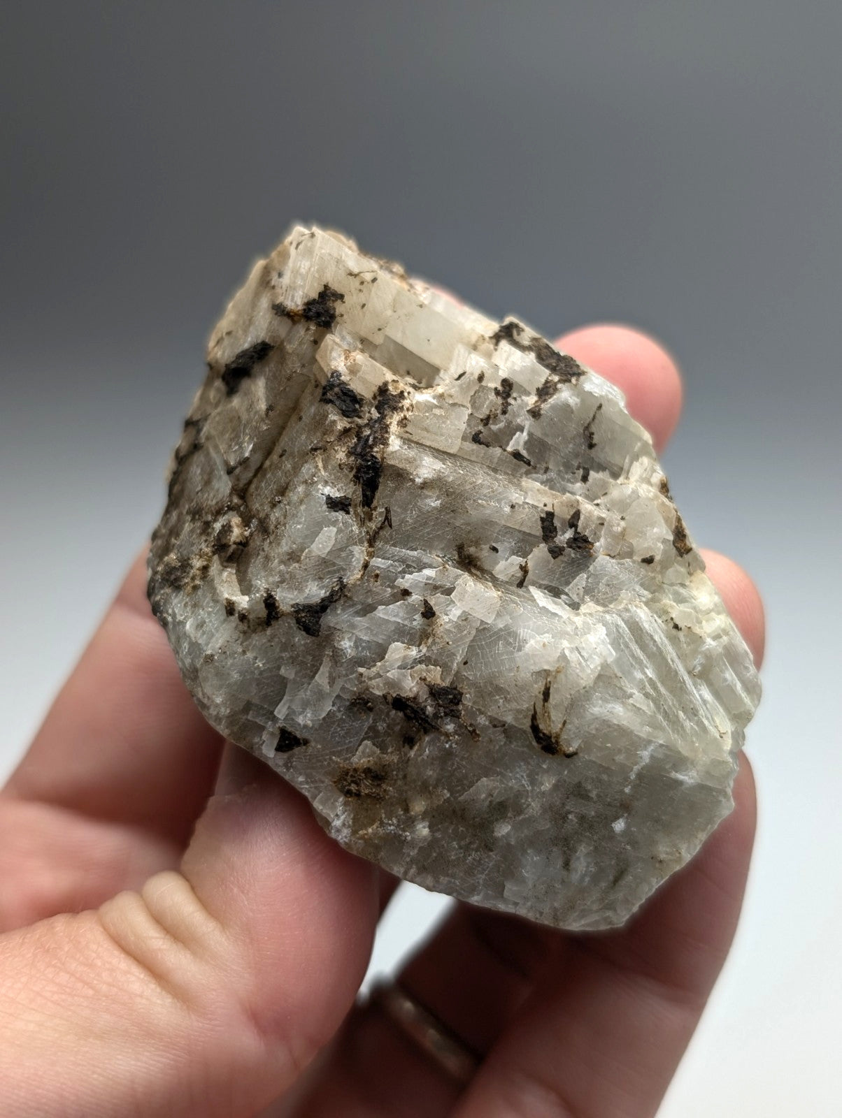 A hand holds a rough translucent white calcio carbonatite mineral with dark inclusions and crystalline facets