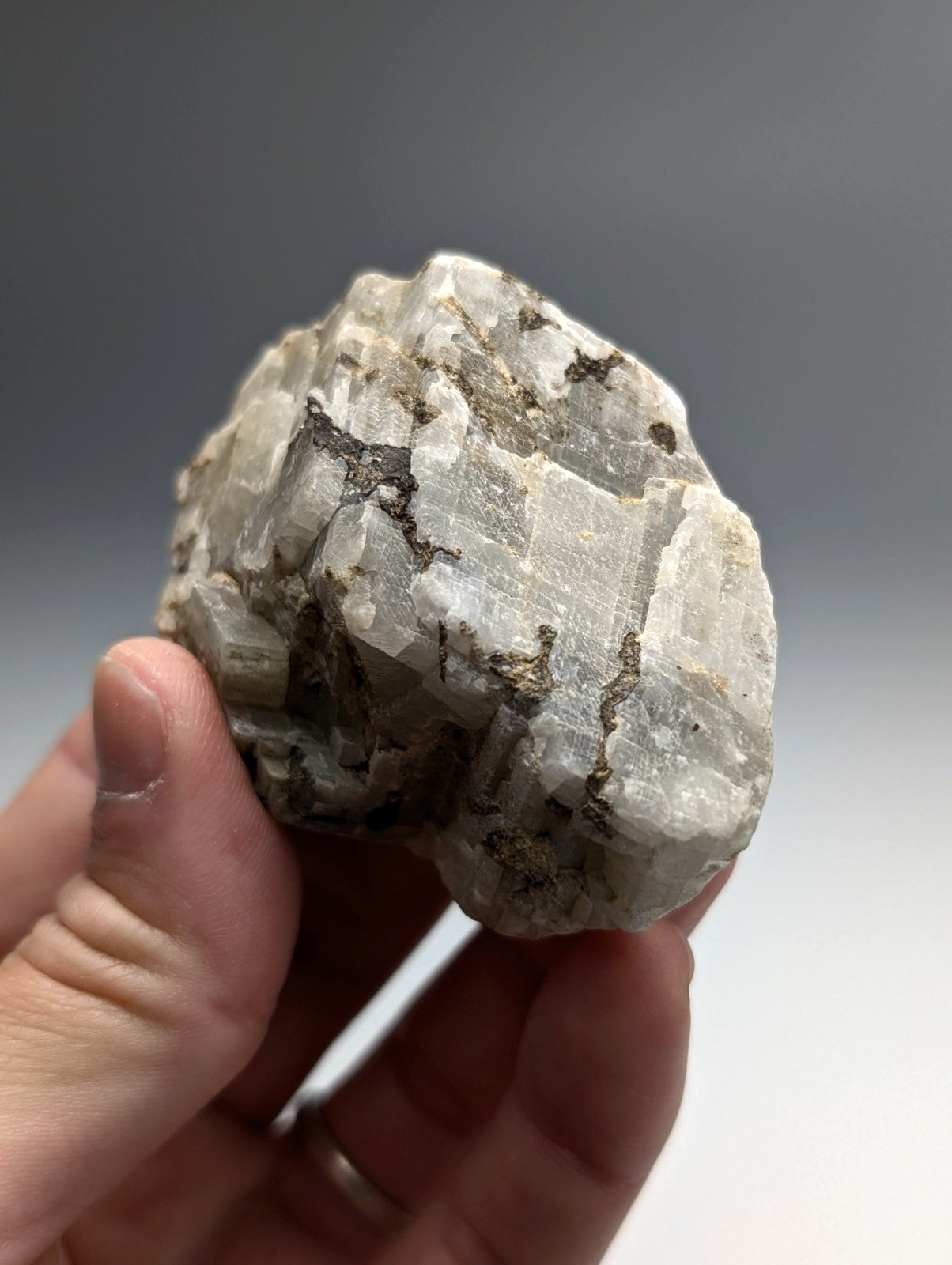 A translucent white quartz crystal cluster with dark veining and jagged edges from magnet cove arkansas