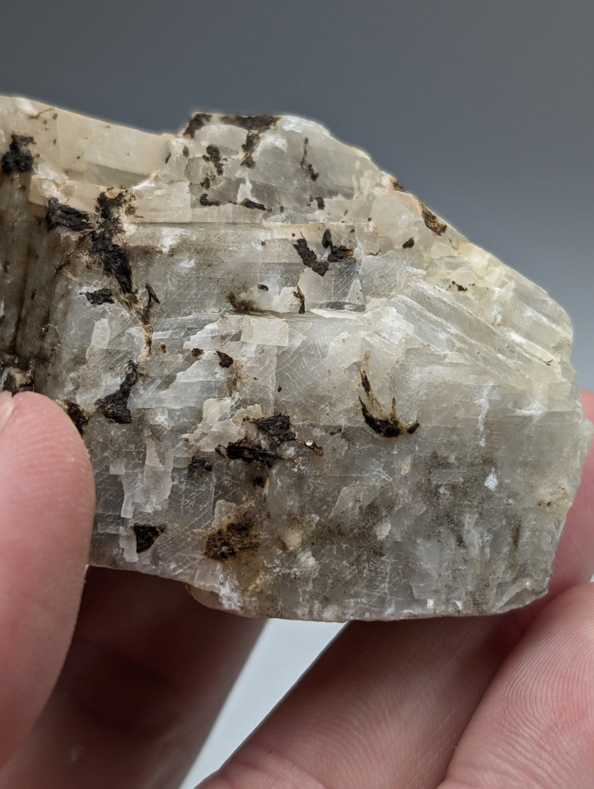 Calcio carbonatite mineral specimen from magnet cove arkansas with translucent pale gray crystals and dark inclusions