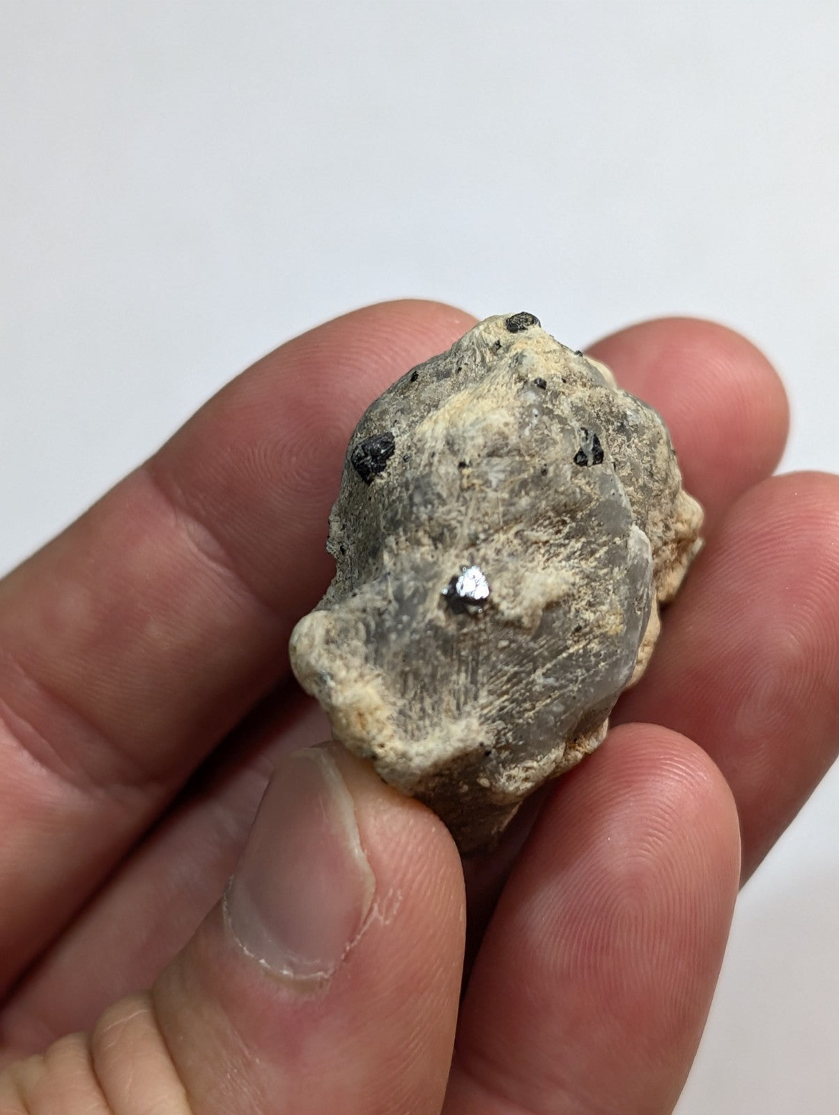 A rough, grayish-green mineral specimen with embedded metallic flecks and a textured surface.
