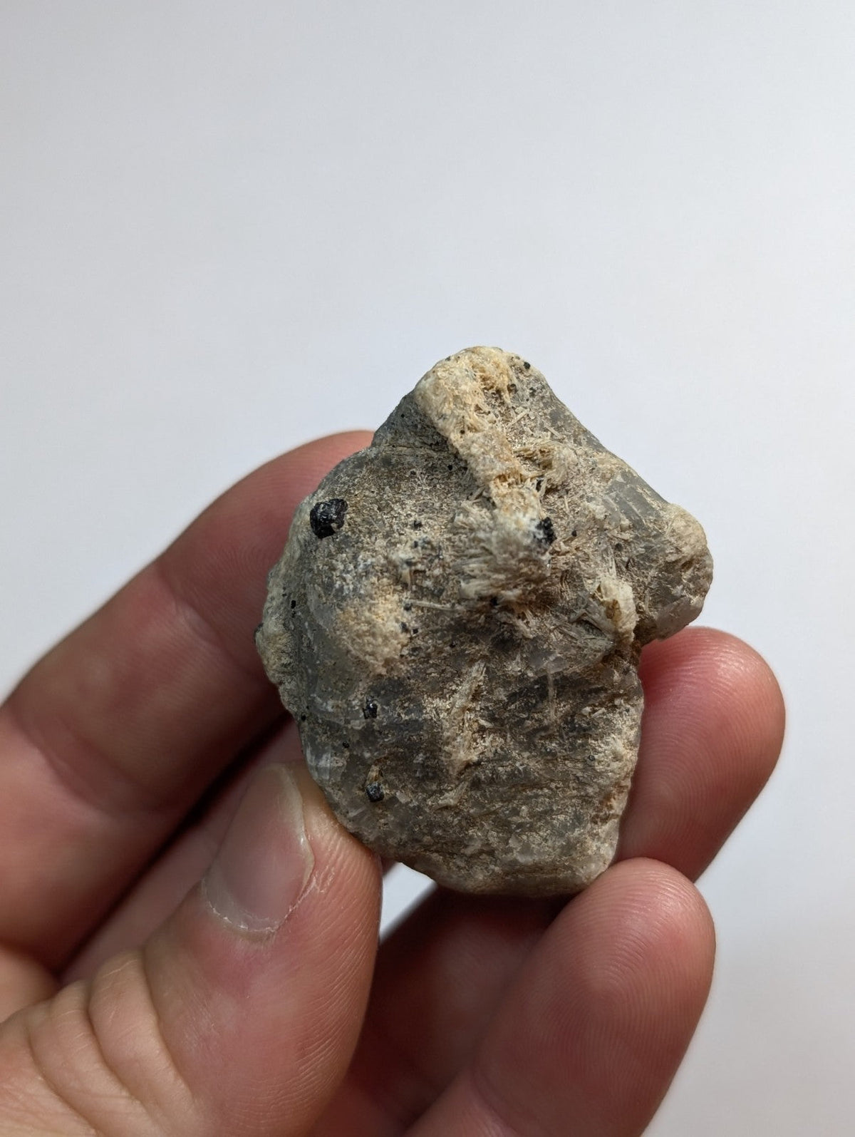 A rough, irregularly shaped gray rock with patches of lighter beige and small dark specks.