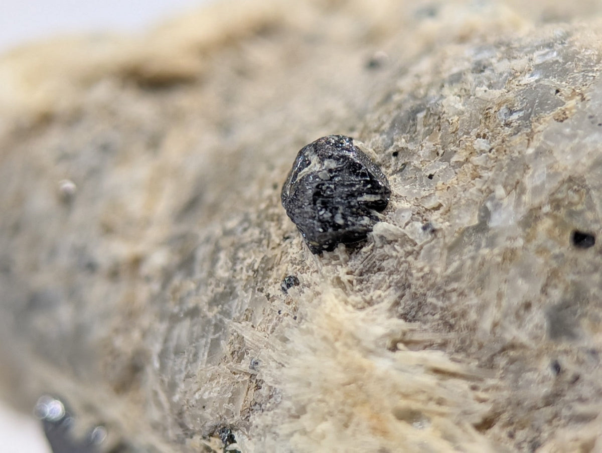 A small, dark gray mineral specimen embedded in a textured, light-colored rock matrix.