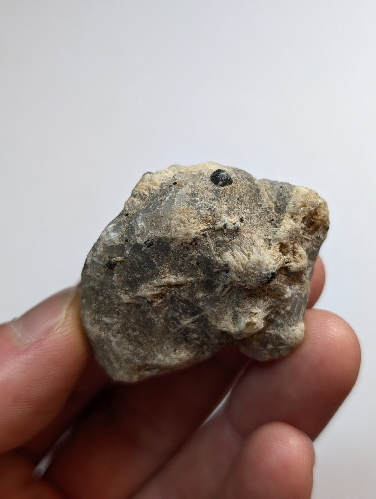 A rough, irregularly shaped gray rock with a small dark speck on its surface.