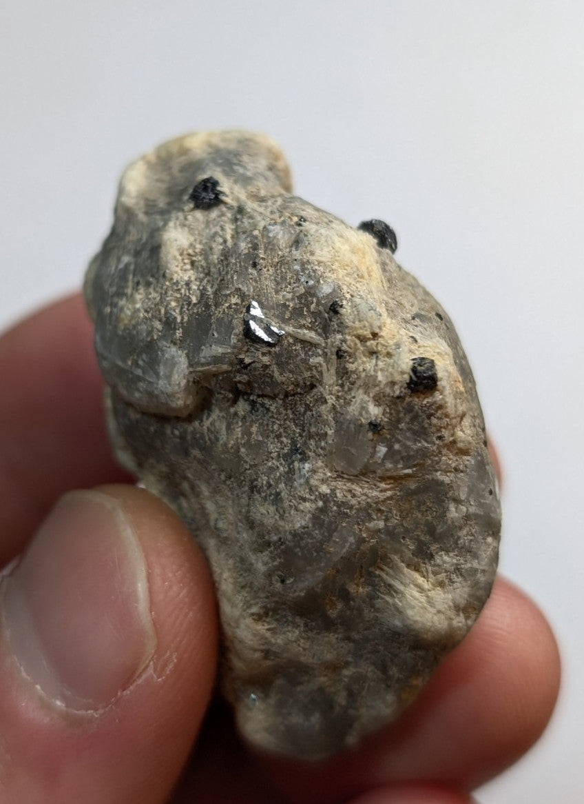 A rough, grayish rock with a translucent quartz crystal embedded in it and several small black specks scattered across its surface.