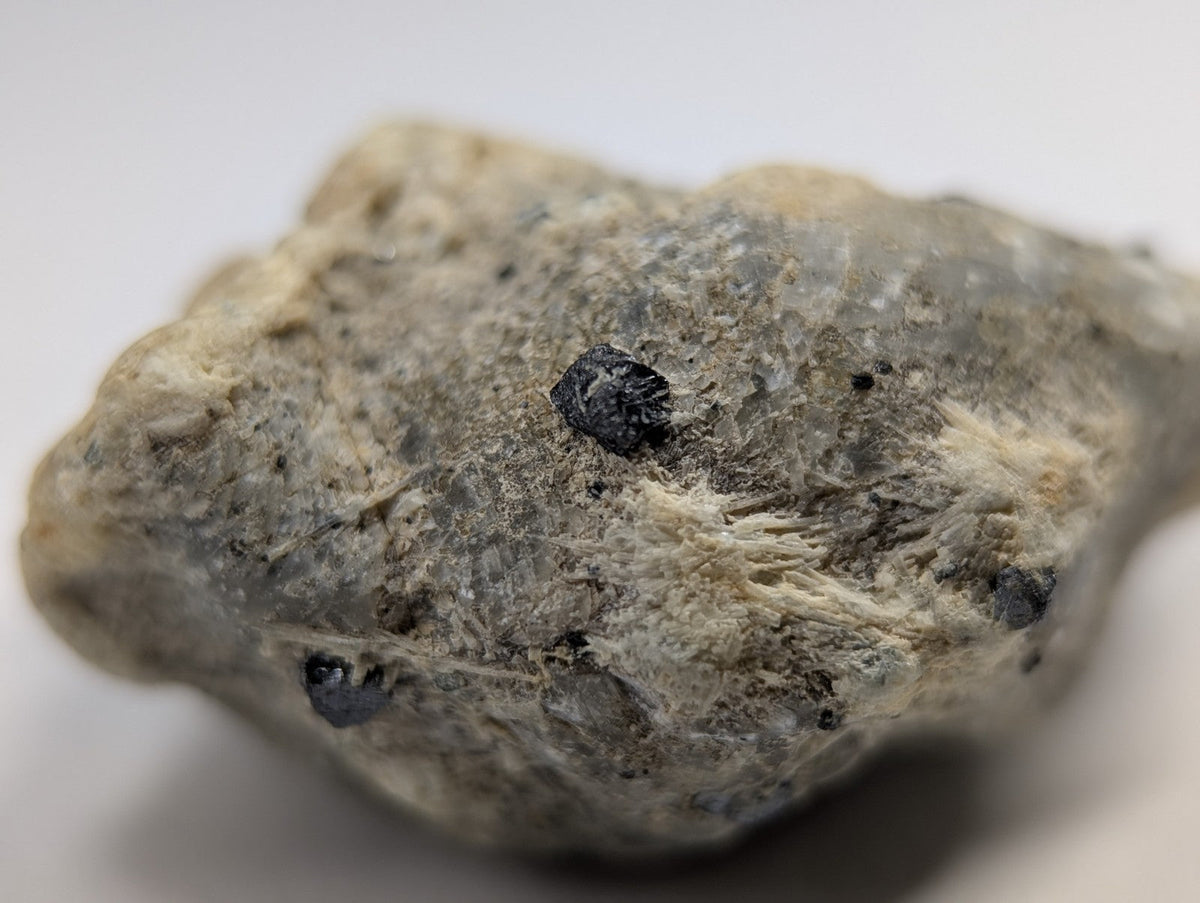 A rough, grayish rock with embedded dark mineral inclusions.