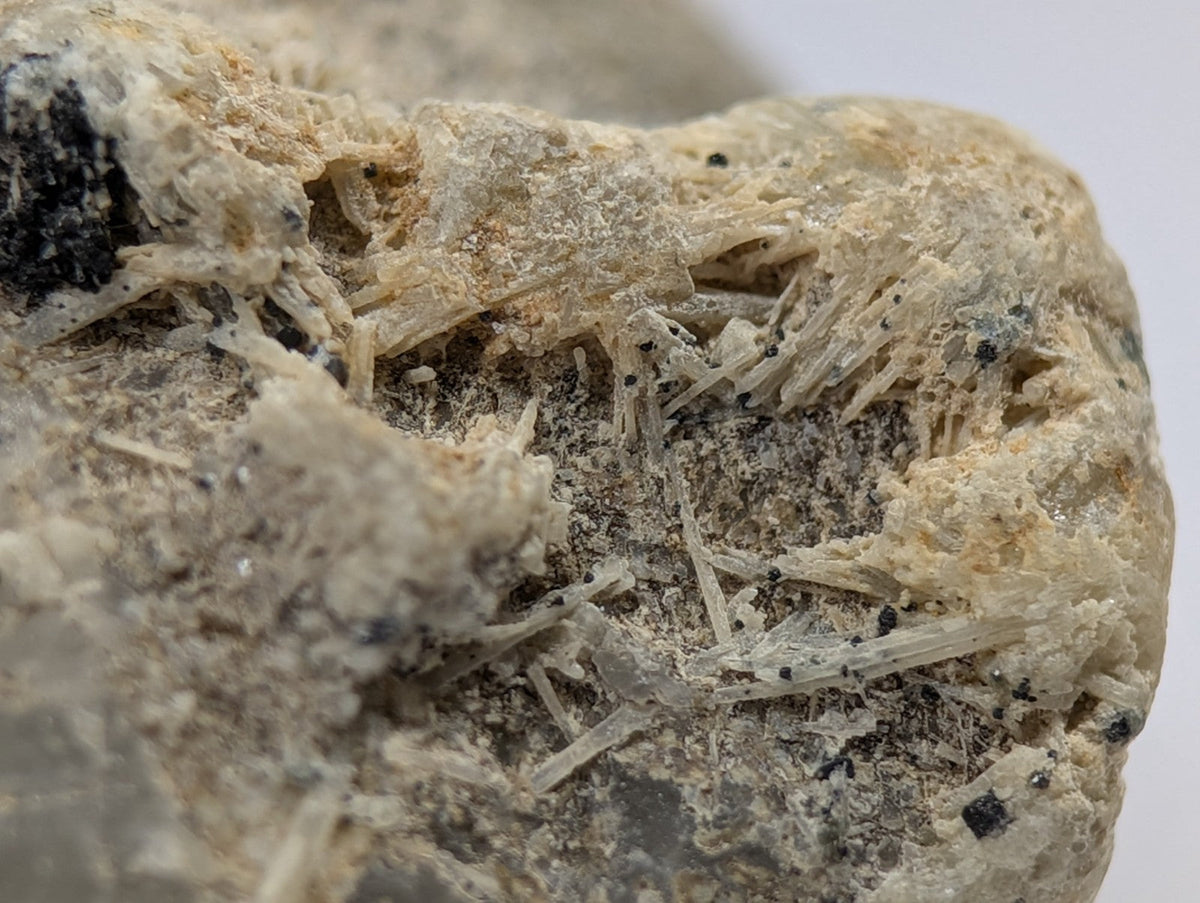 A rough, light beige rock specimen featuring delicate translucent white crystalline formations interspersed with dark black mineral inclusions.