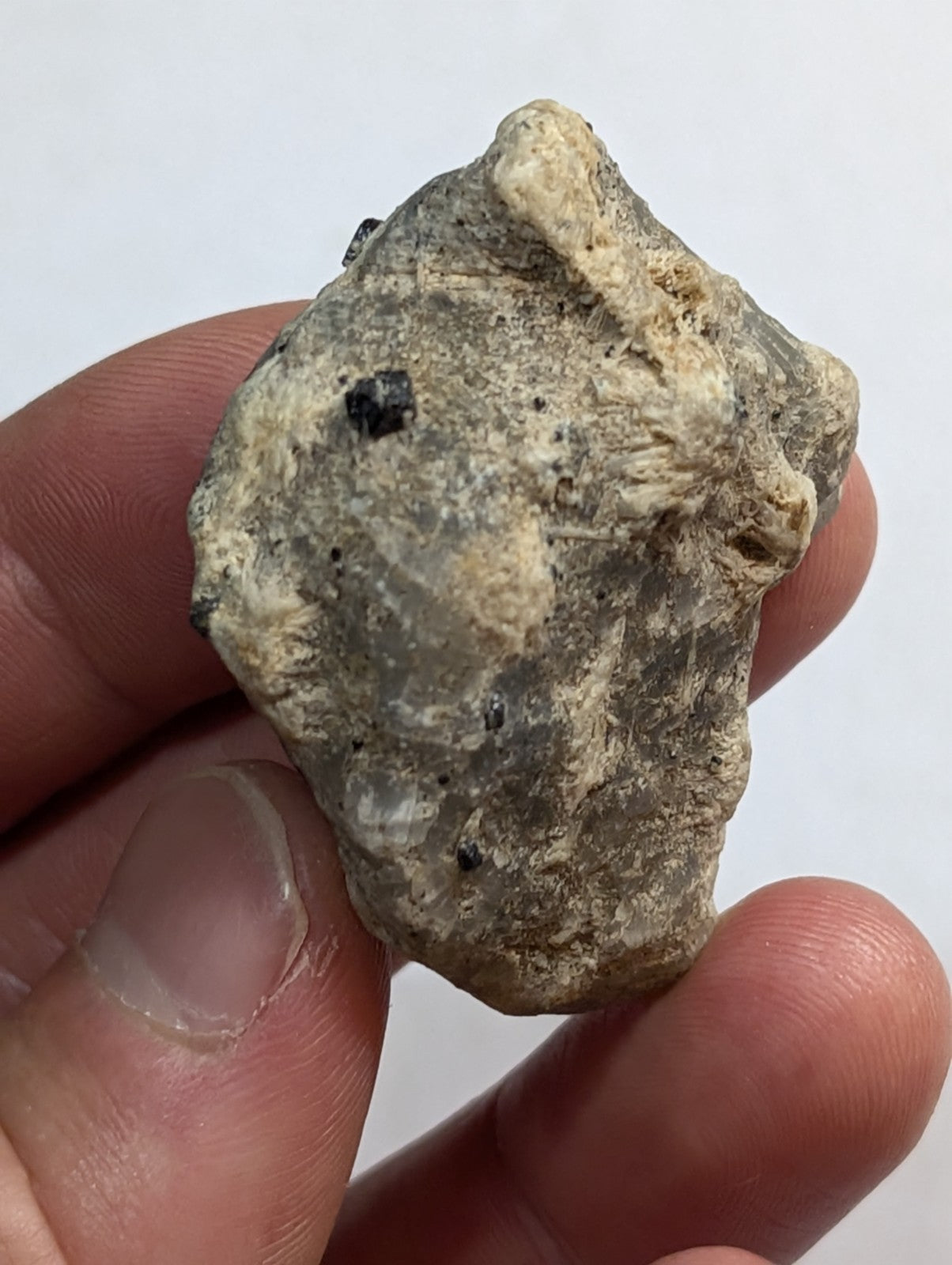 A rough, irregularly shaped gray rock with patches of white and small black specks.