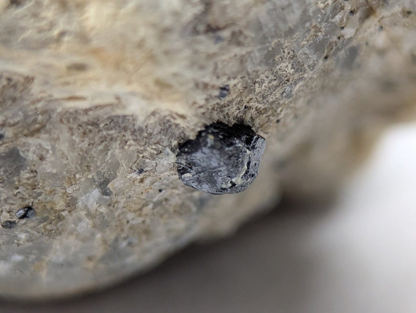 A dark, rough-textured mineral embedded in a light gray rock surface.