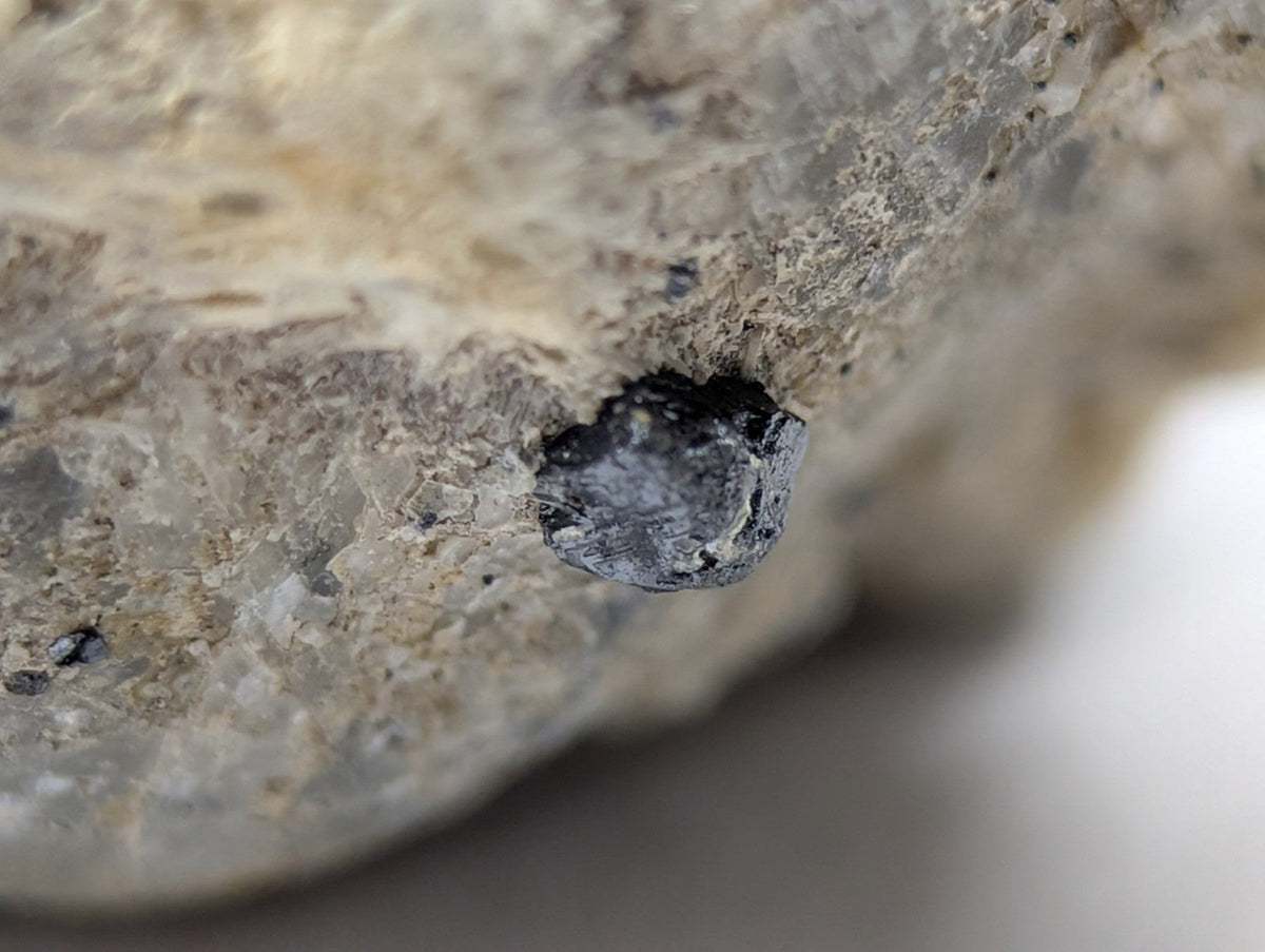A dark, rough-textured mineral embedded in a light gray rock surface.