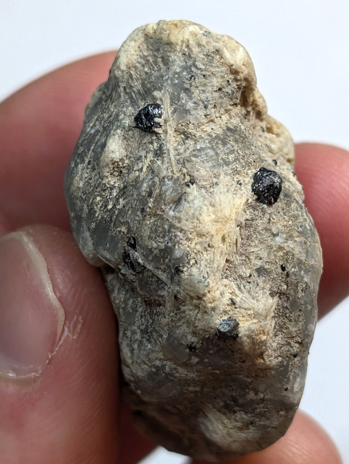 A rough, grayish-white rock with three small black inclusions resembling eyes.