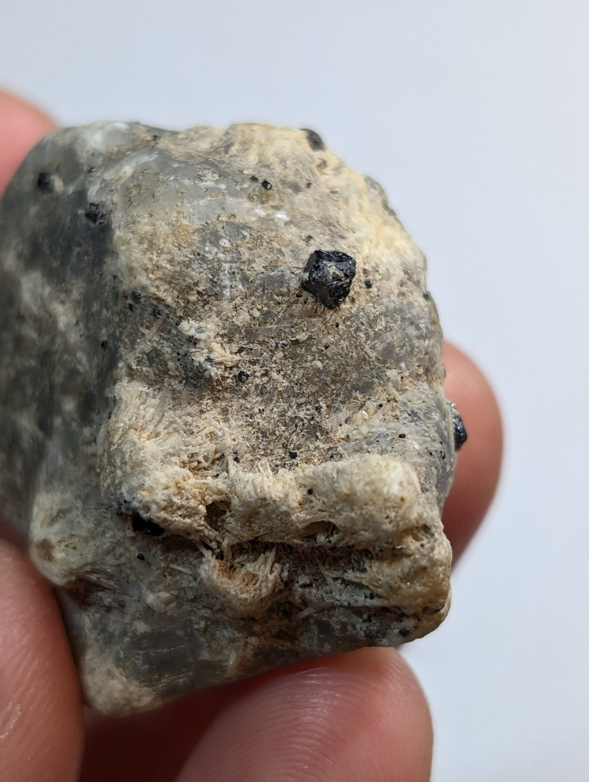 A rough, grayish rock with a textured surface and small black inclusions.
