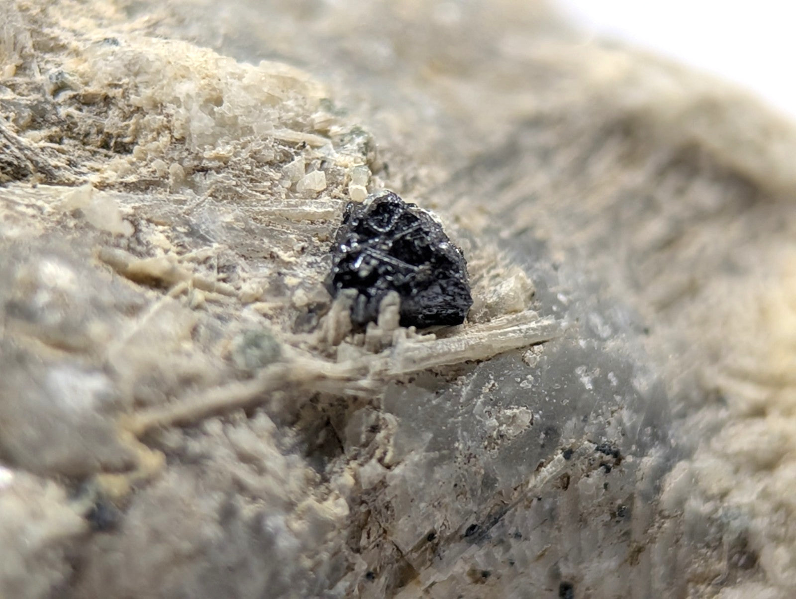 A small, irregularly shaped black mineral specimen embedded in a light-colored rock matrix.