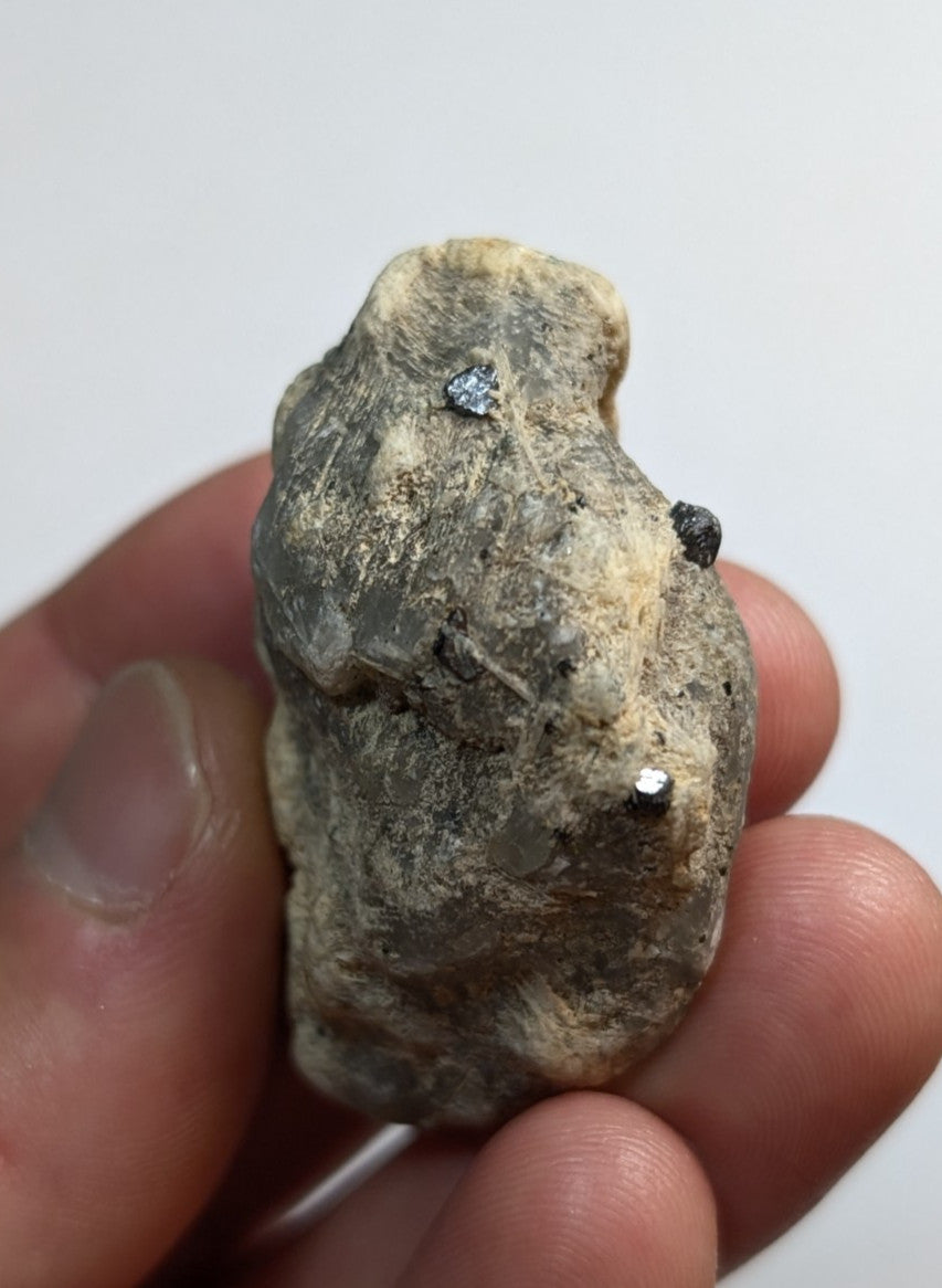 A rough, grayish-brown rock with three small embedded gemstones—two dark and one silver.