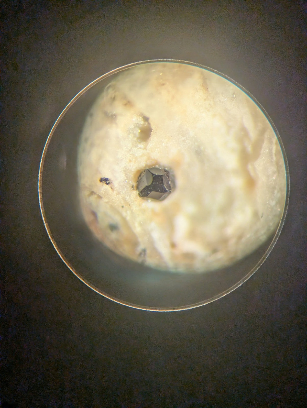 A circular, off-white, textured object with a dark central hole and speckled imperfections.