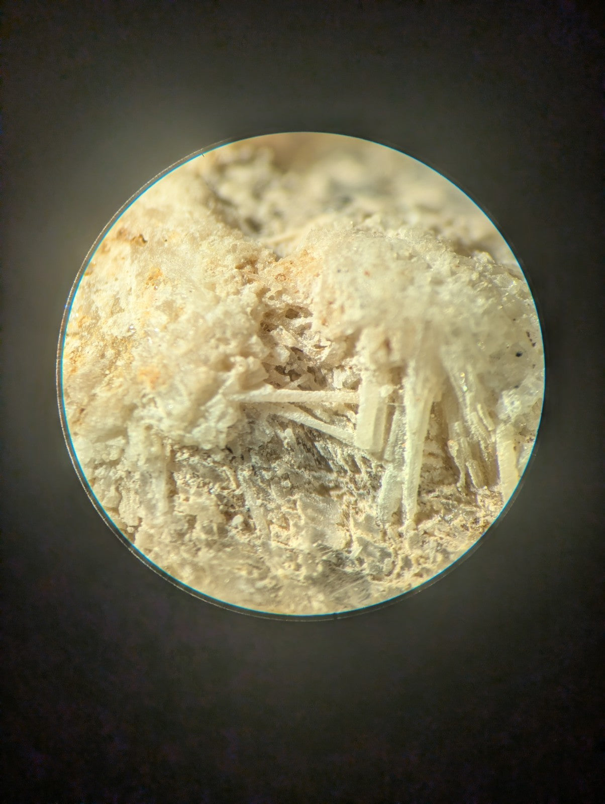 A circular magnified view of a pale, crystalline mineral specimen with intricate white and beige formations.