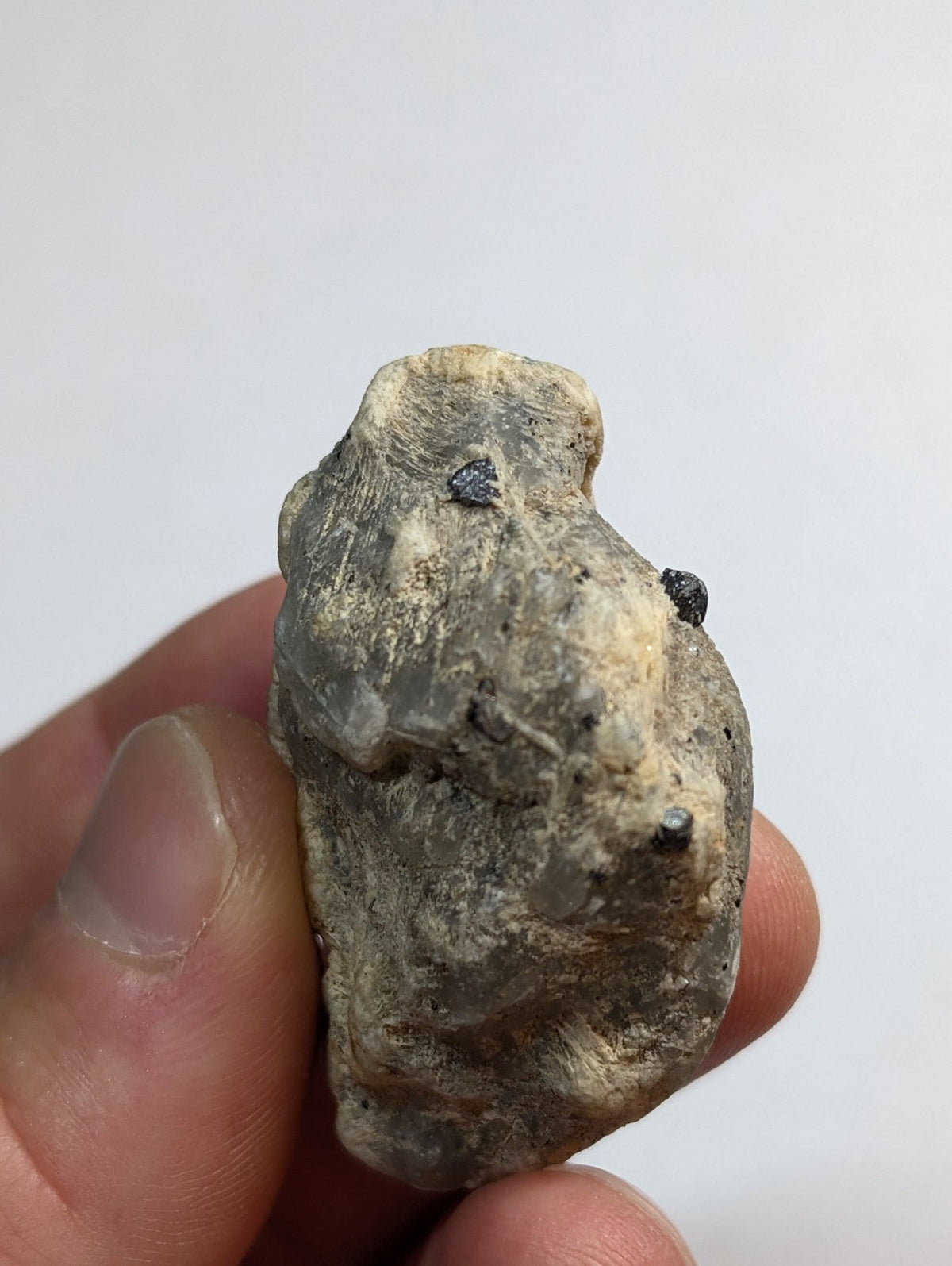 A rough, grayish-brown rock with three small black specks embedded on its surface.