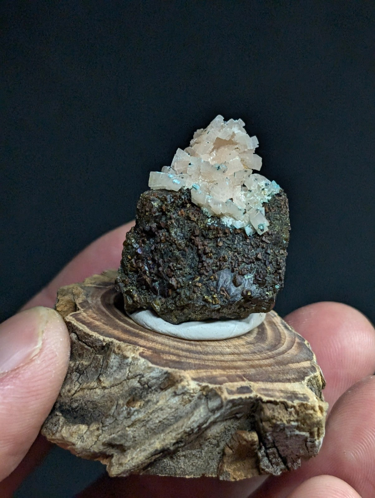 A delicate cluster of translucent, pale pink crystals rests atop a dark, rough-textured mineral base, displayed on a rustic wooden slice.