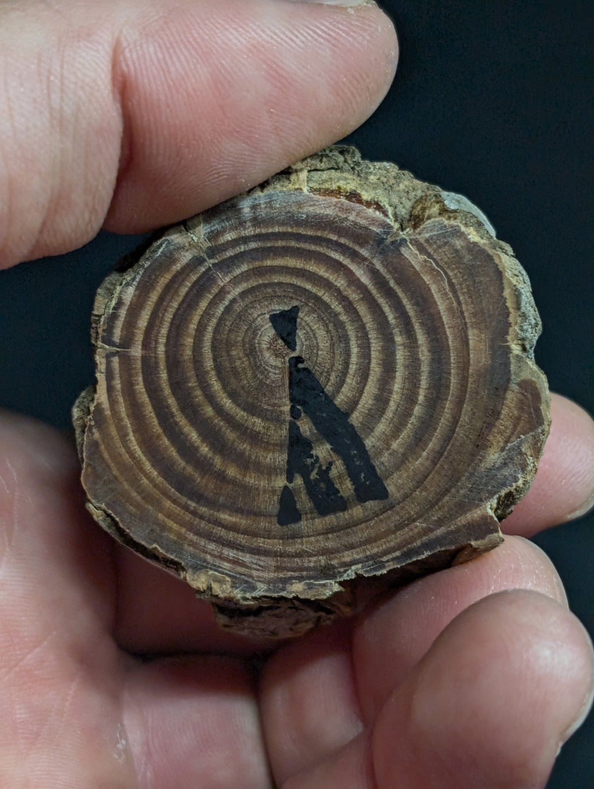 A rustic, circular wooden slice with visible growth rings and a black painted tribal-style symbol at its center.