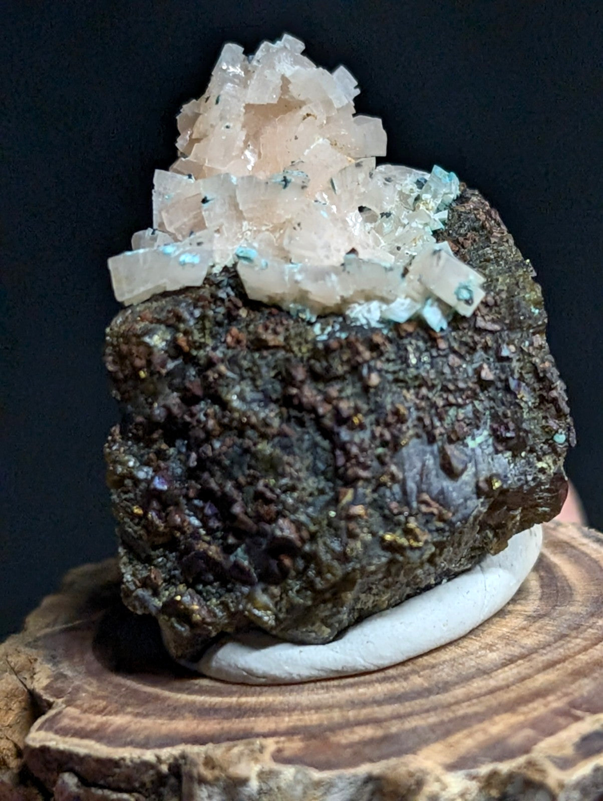 A striking mineral specimen featuring a cluster of translucent, pale pink crystals atop a rugged, dark brown rock matrix with hints of metallic sheen.