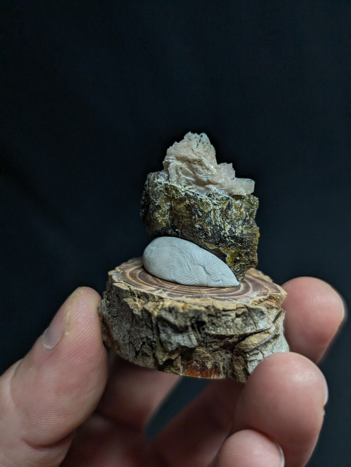 A delicate, layered mineral specimen featuring a smooth white stone resting atop a textured greenish rock with crystalline formations, all displayed on a rustic wooden slice.