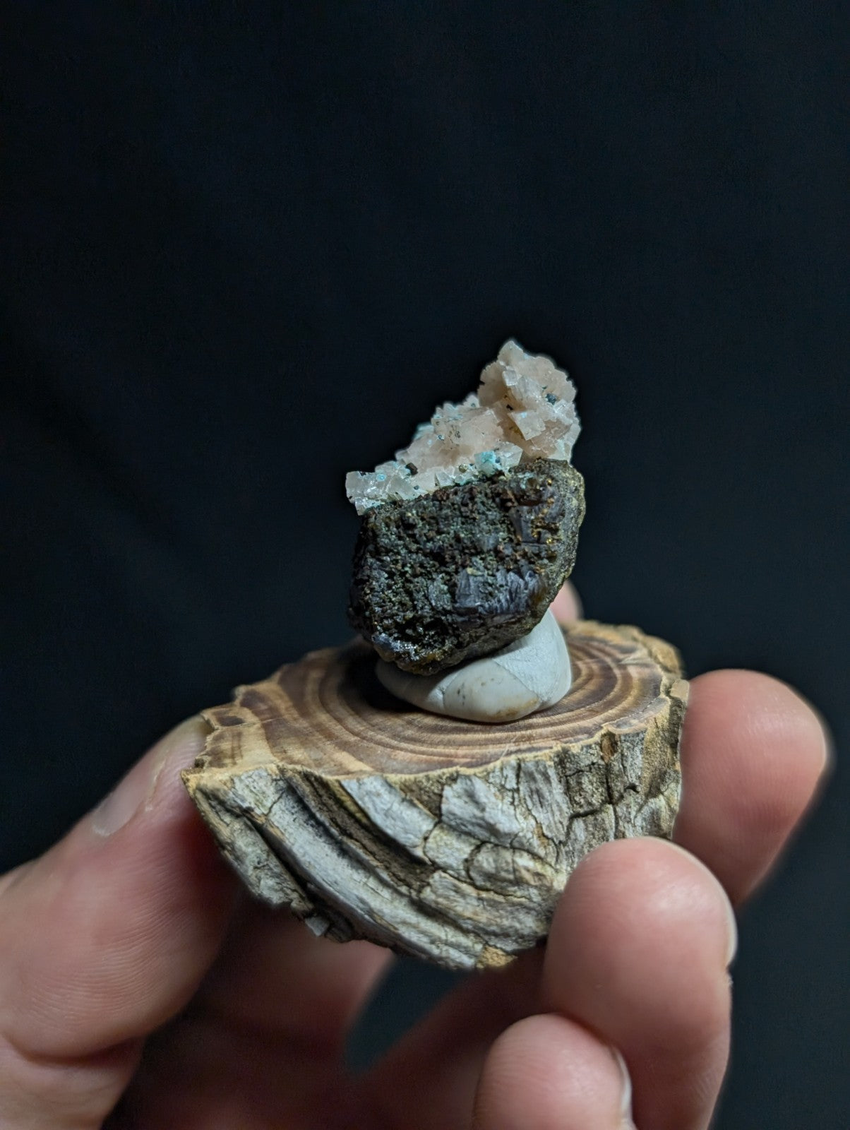 A dark, textured mineral specimen with a crystalline white and light blue formation atop it, resting on a circular wooden slice.