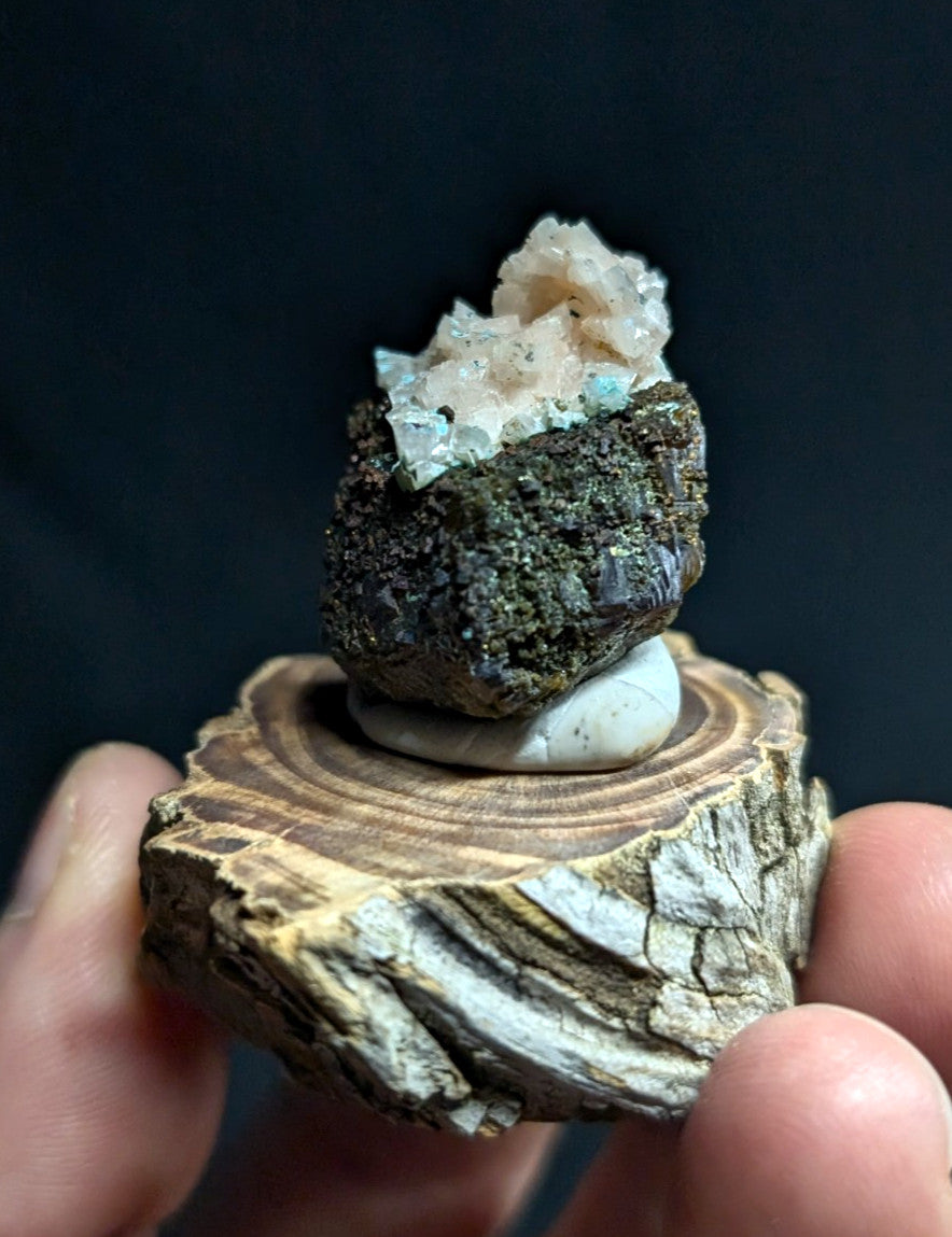 A polished wooden slice display base holding a dark, textured mineral specimen topped with translucent, crystalline formations.