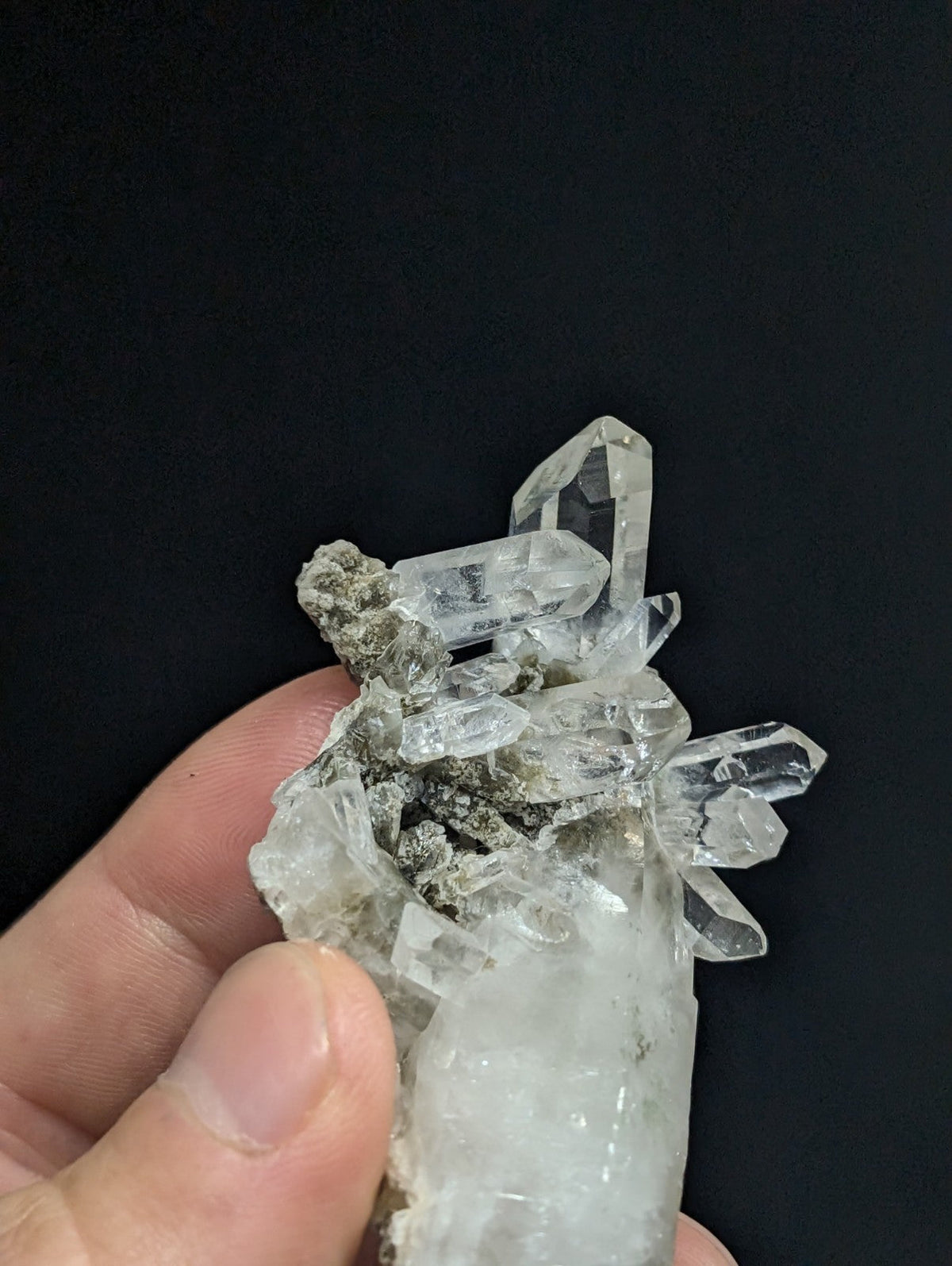A cluster of clear, faceted quartz crystals growing from a grayish matrix.