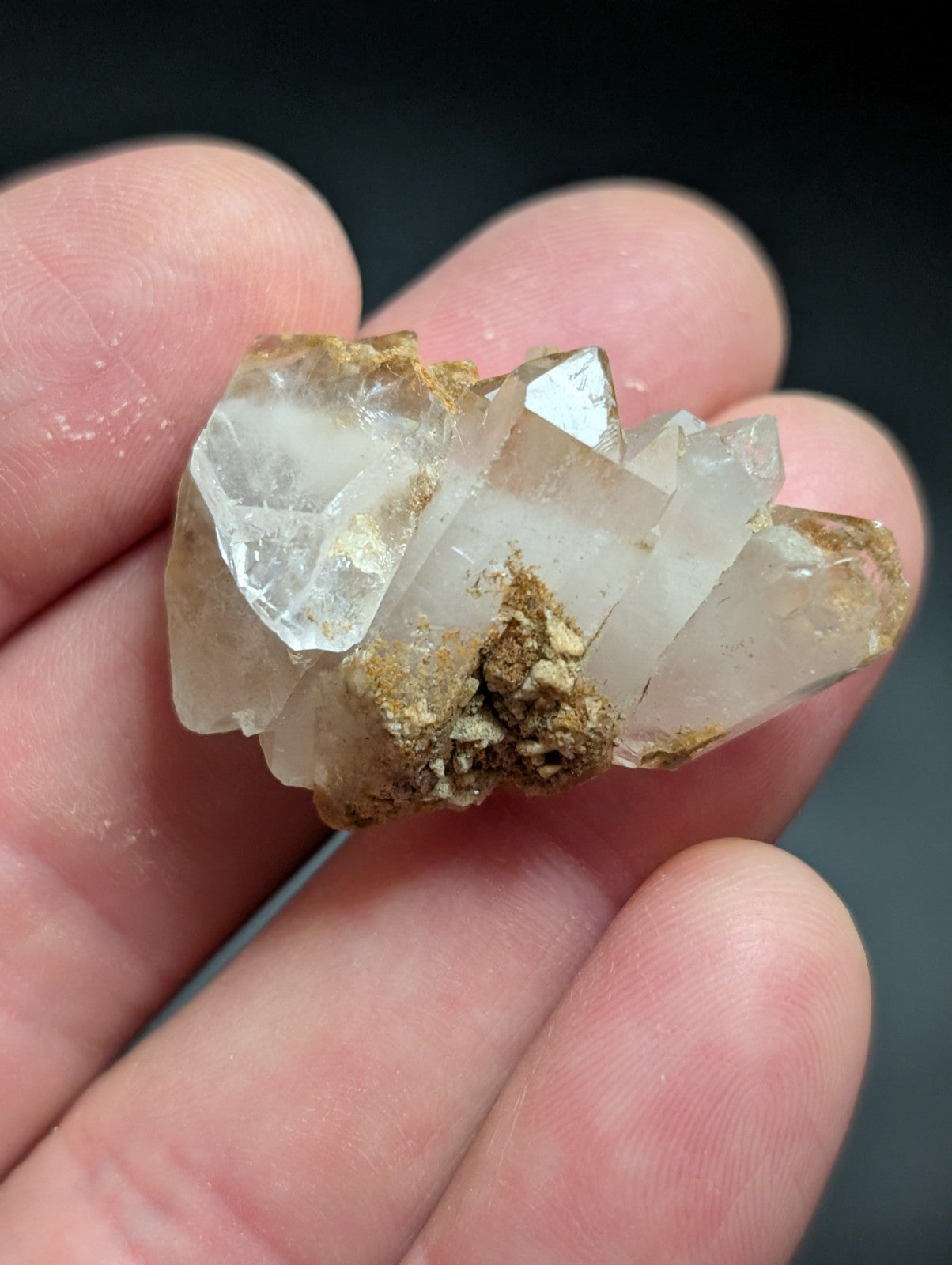 A cluster of translucent, clear quartz crystals with golden-brown mineral matrix attached.