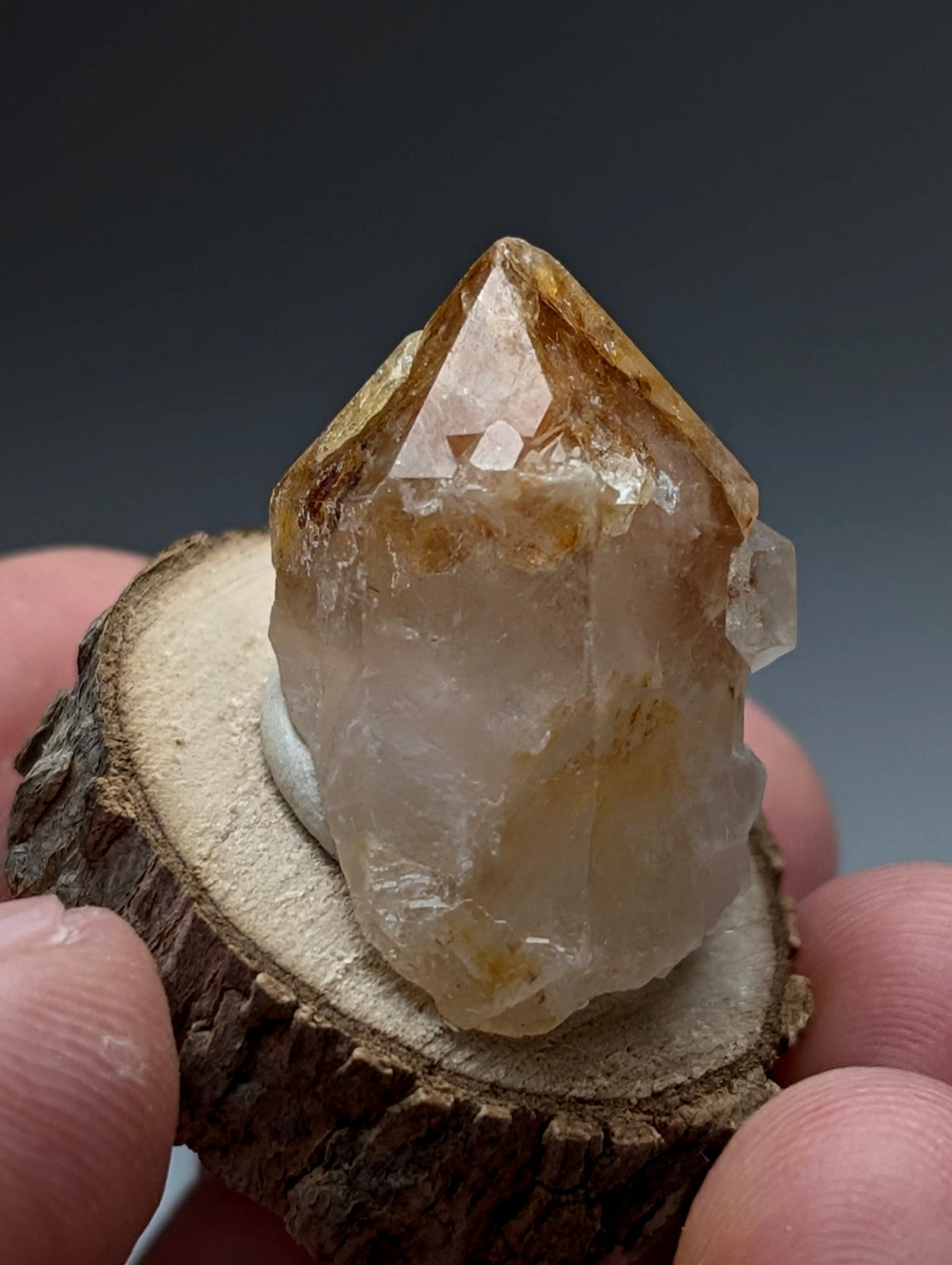 Clay-included quartz crystal with amber hue and natural inclusions displayed on rustic wood base from garland county