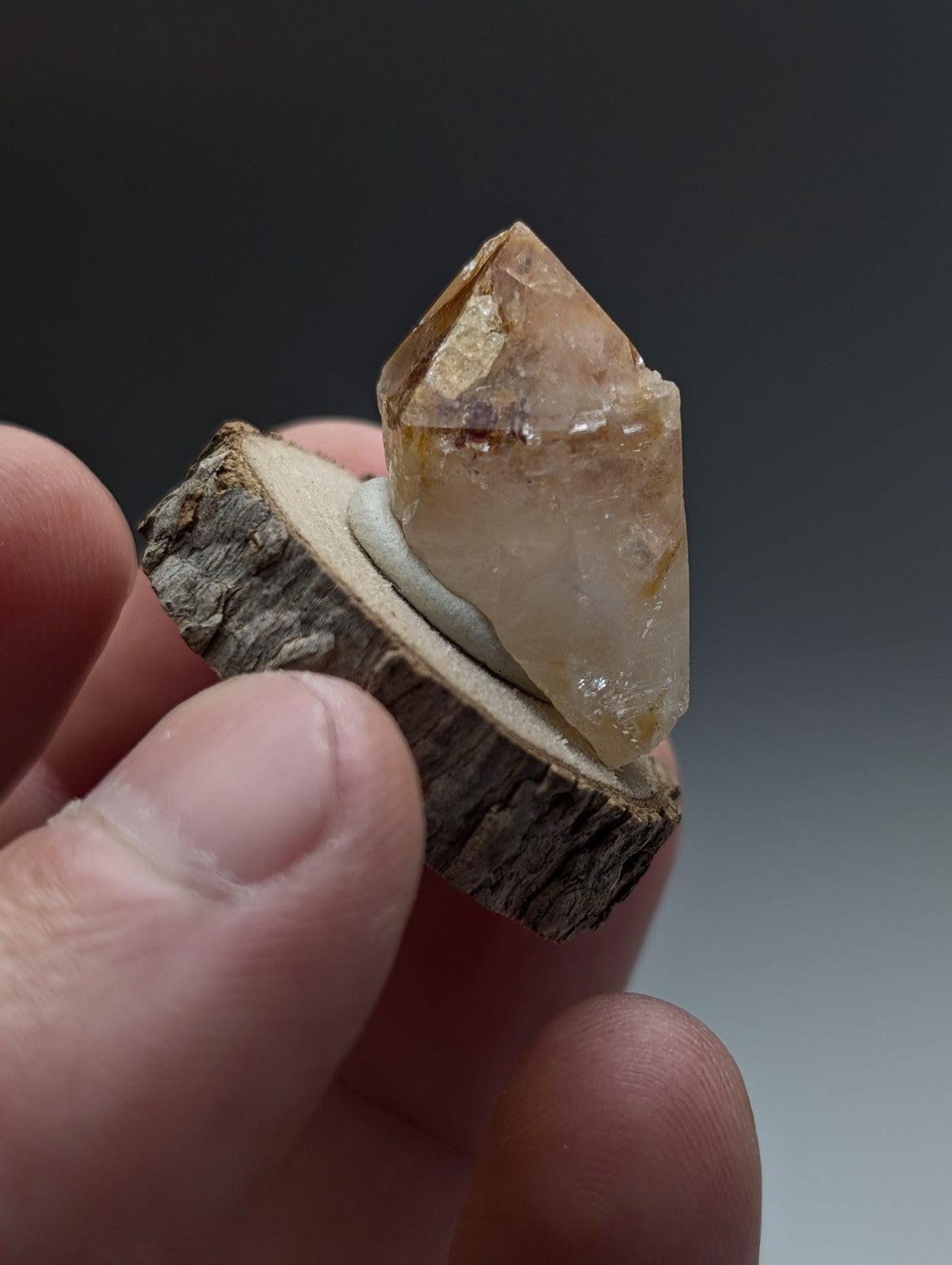 A translucent amber-hued clay-included quartz crystal with pointed tip on a natural wood base from garland county arkansas