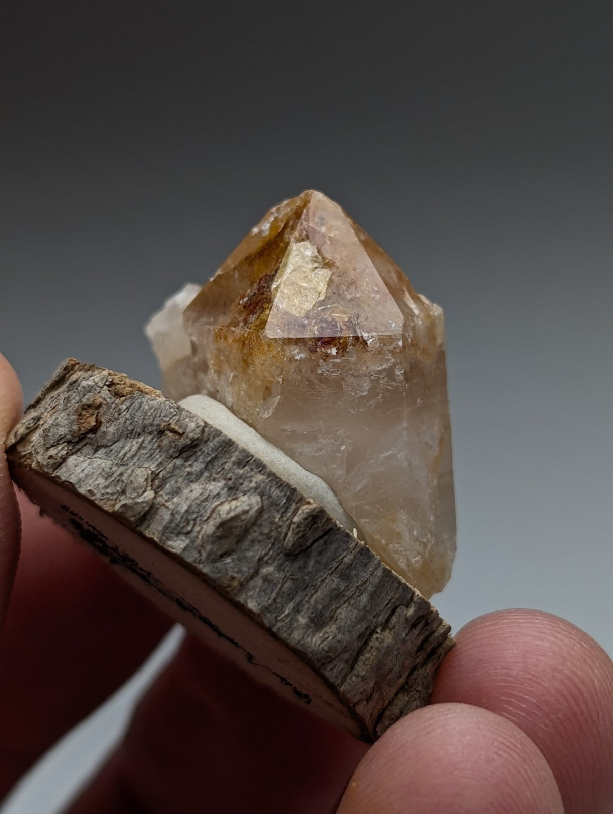 Clay-included quartz crystal translucent golden yellow with pointed faceted top and natural wood base from Garland County Arkansas