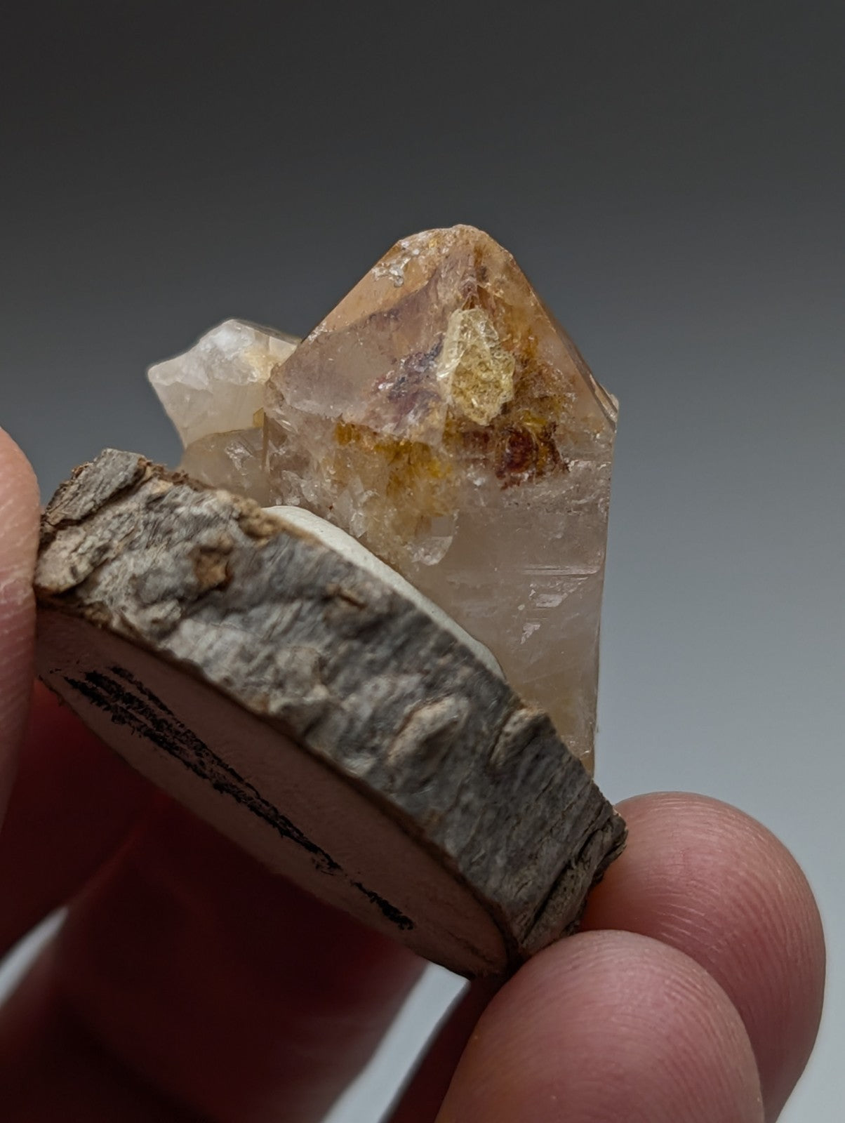 A translucent amber-hued quartz crystal with golden clay inclusions on a natural wood base from garland county arkansas
