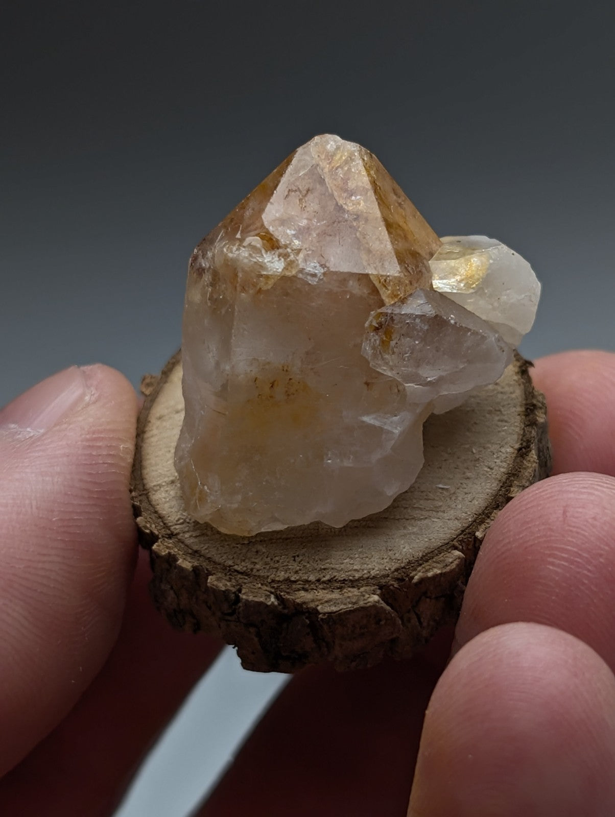 A translucent golden-yellow clay-included quartz crystal with clear facets resting on a natural wood base from garland county arkansas