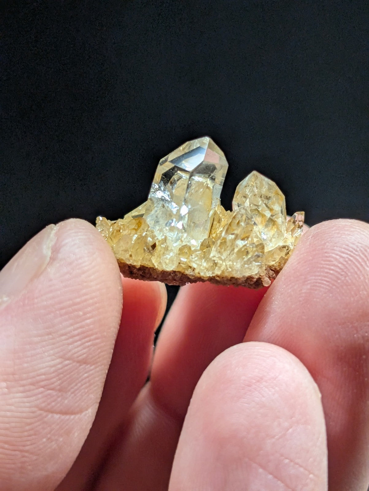 A delicate cluster of translucent yellow quartz crystals with sharp, faceted points emerging from a rough, earthy base.