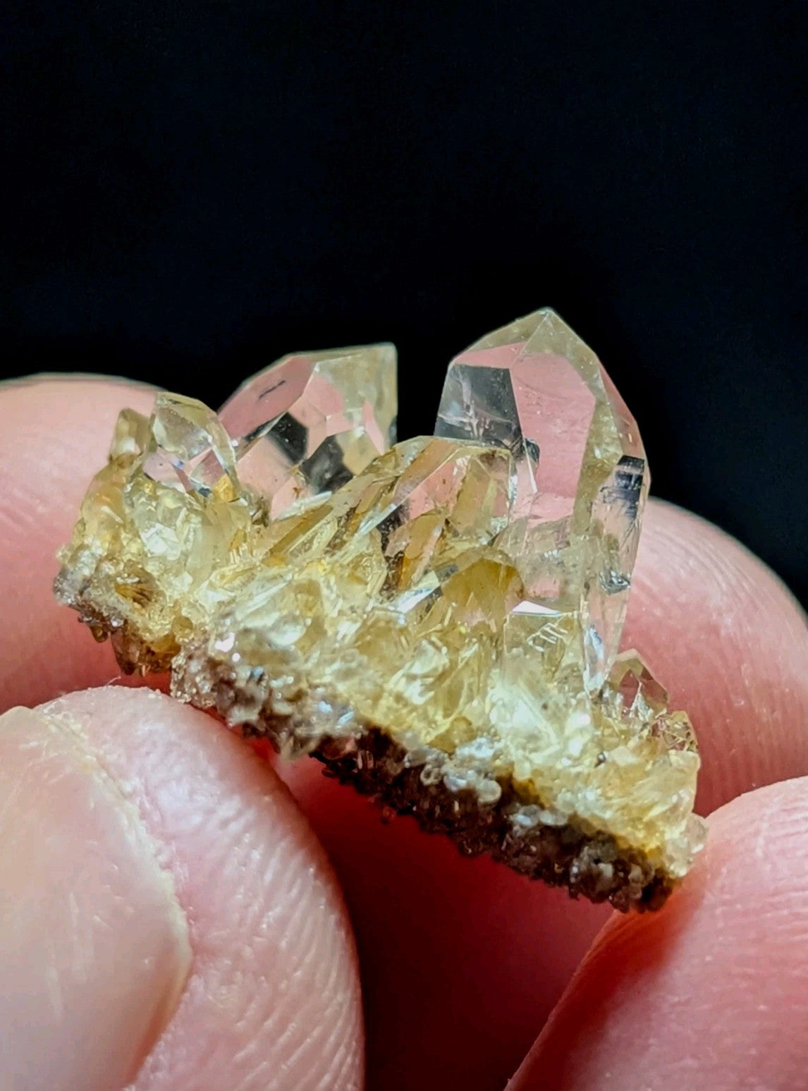 A cluster of translucent yellow quartz crystals with sharp, faceted points and a rough, earthy base.
