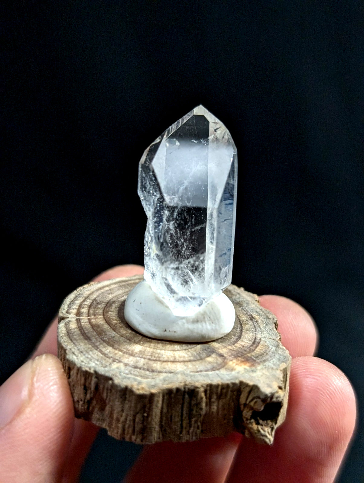 A clear, faceted quartz crystal with a smooth base sits elegantly on a rustic wooden slice.