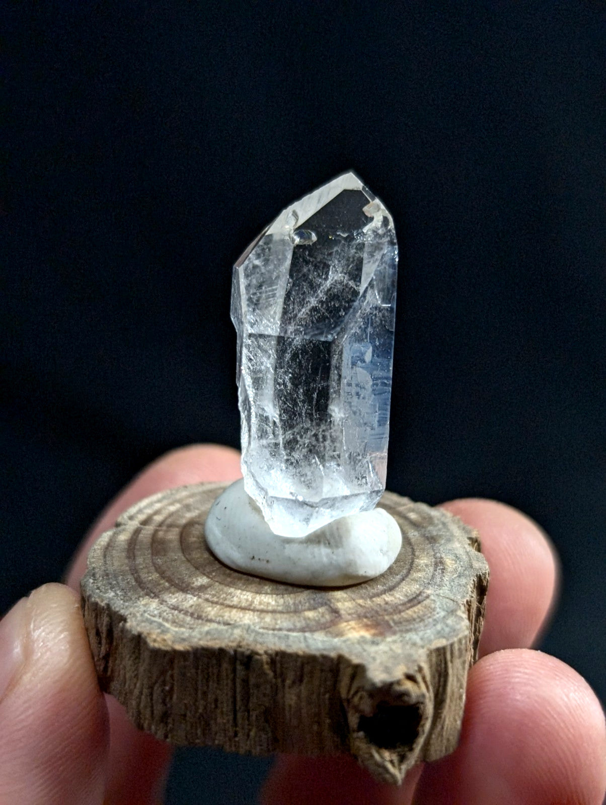 A clear, faceted quartz crystal with a smooth base sits elegantly on a rustic wooden slice.