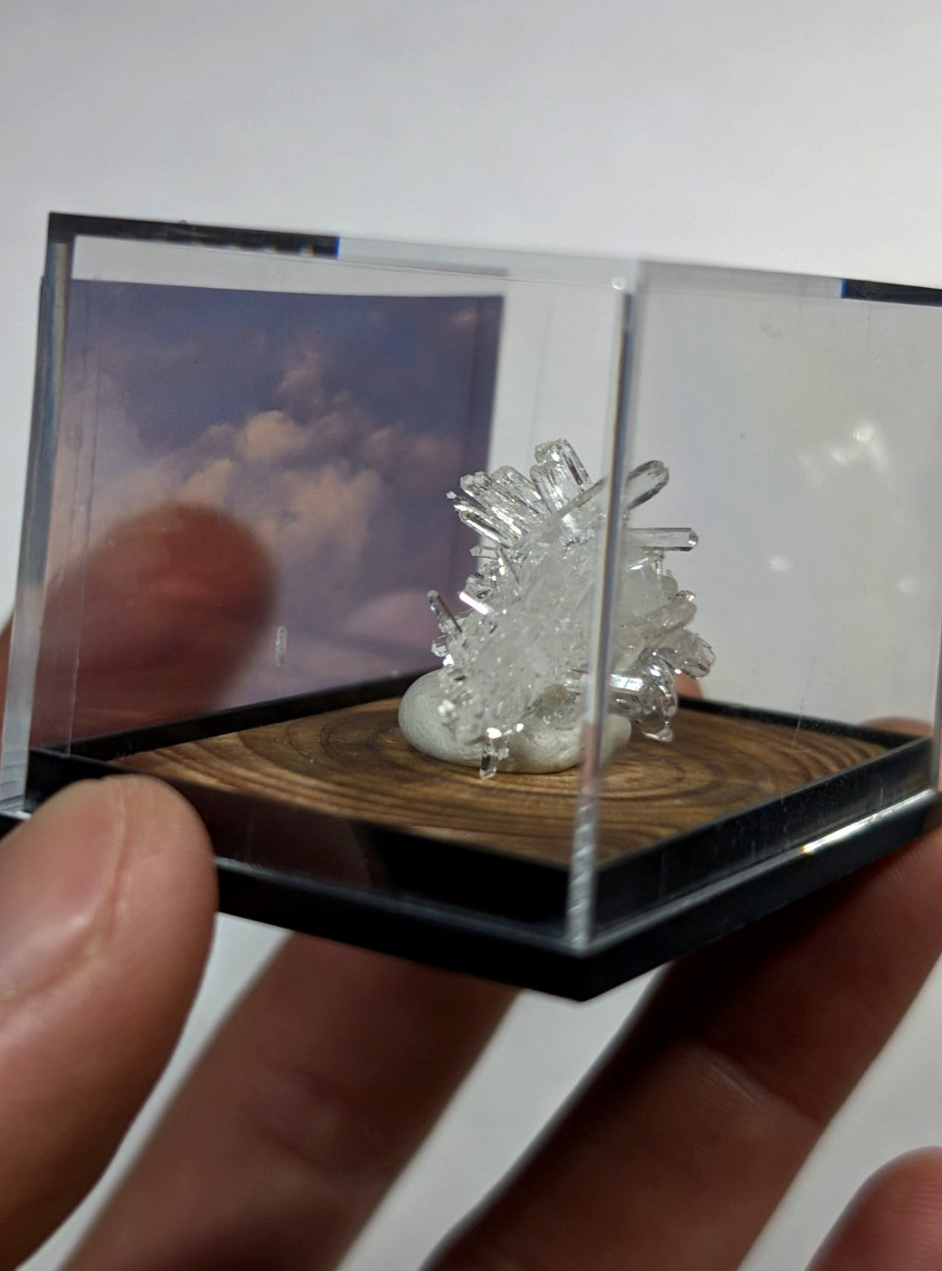 A clear, intricate crystal cluster sculpture displayed in a transparent miniature display case with a wooden base.